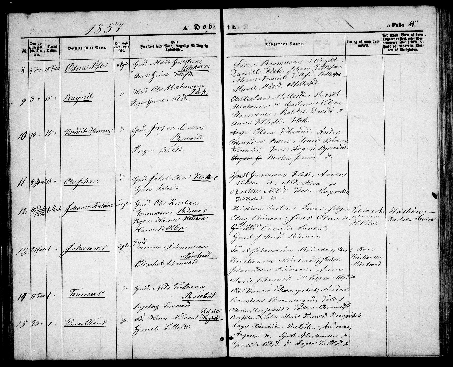 Birkenes sokneprestkontor, AV/SAK-1111-0004/F/Fb/L0002: Parish register (copy) no. B 2, 1849-1876, p. 45