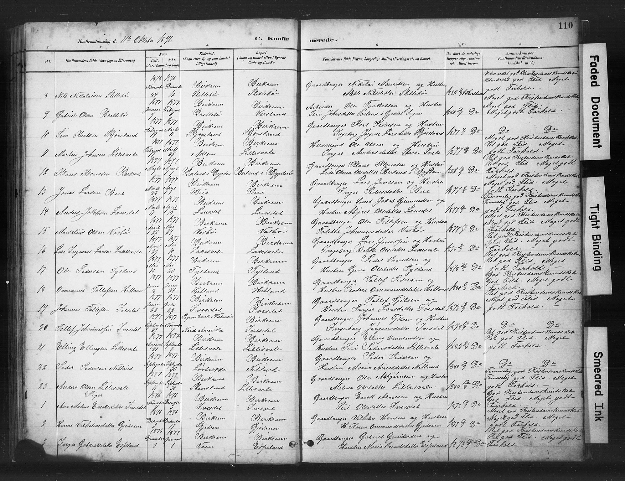 Helleland sokneprestkontor, AV/SAST-A-101810: Parish register (copy) no. B 5, 1887-1908, p. 110