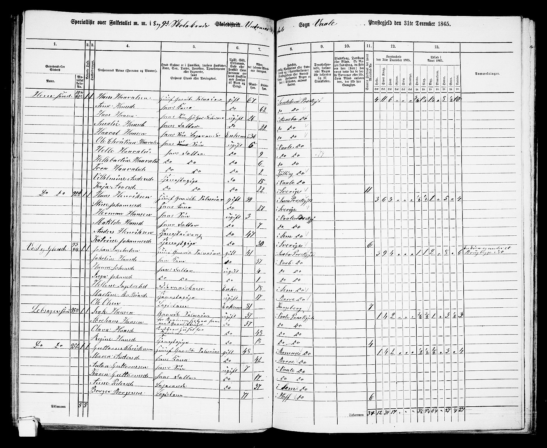 RA, 1865 census for Våle, 1865, p. 40