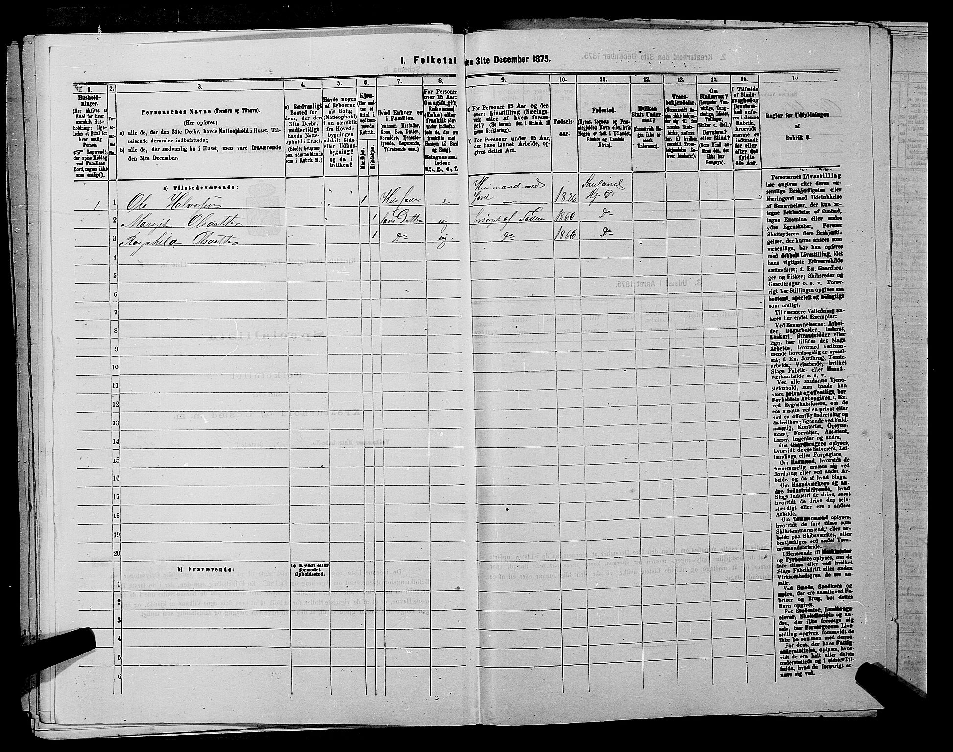 SAKO, 1875 census for 0827P Hjartdal, 1875, p. 813