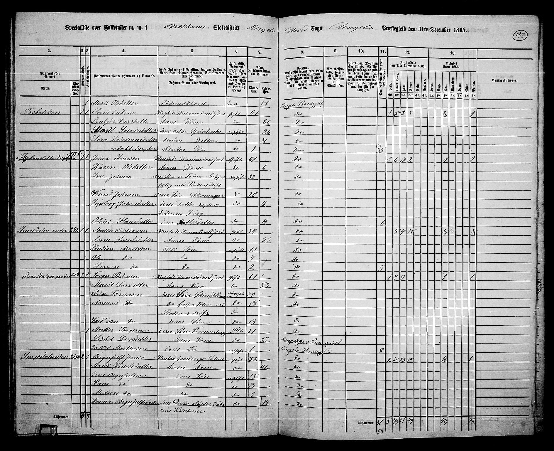 RA, 1865 census for Ringebu, 1865, p. 113