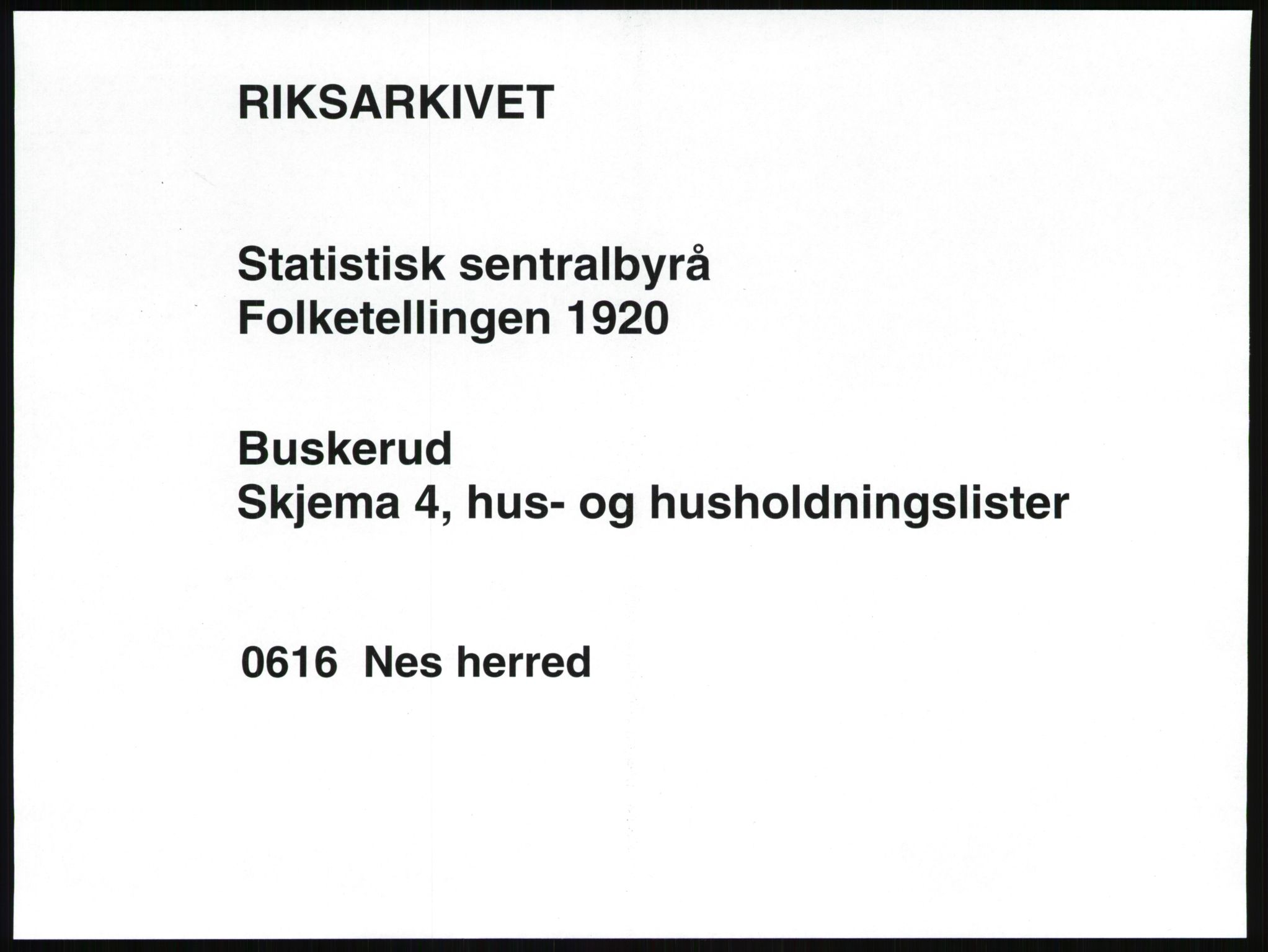 SAKO, 1920 census for Nes (Buskerud), 1920, p. 34