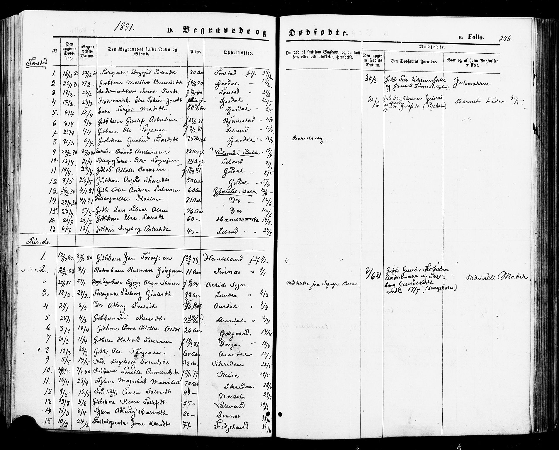 Sirdal sokneprestkontor, SAK/1111-0036/F/Fa/Fab/L0003: Parish register (official) no. A 3, 1874-1886, p. 276