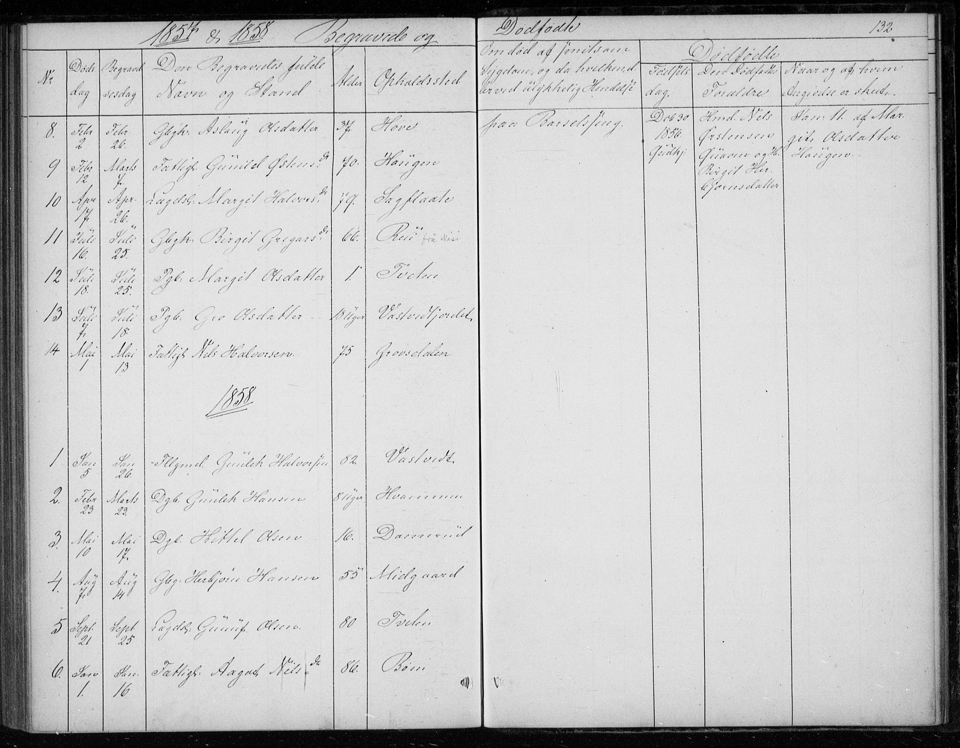 Gransherad kirkebøker, SAKO/A-267/F/Fb/L0003: Parish register (official) no. II 3, 1844-1859, p. 132