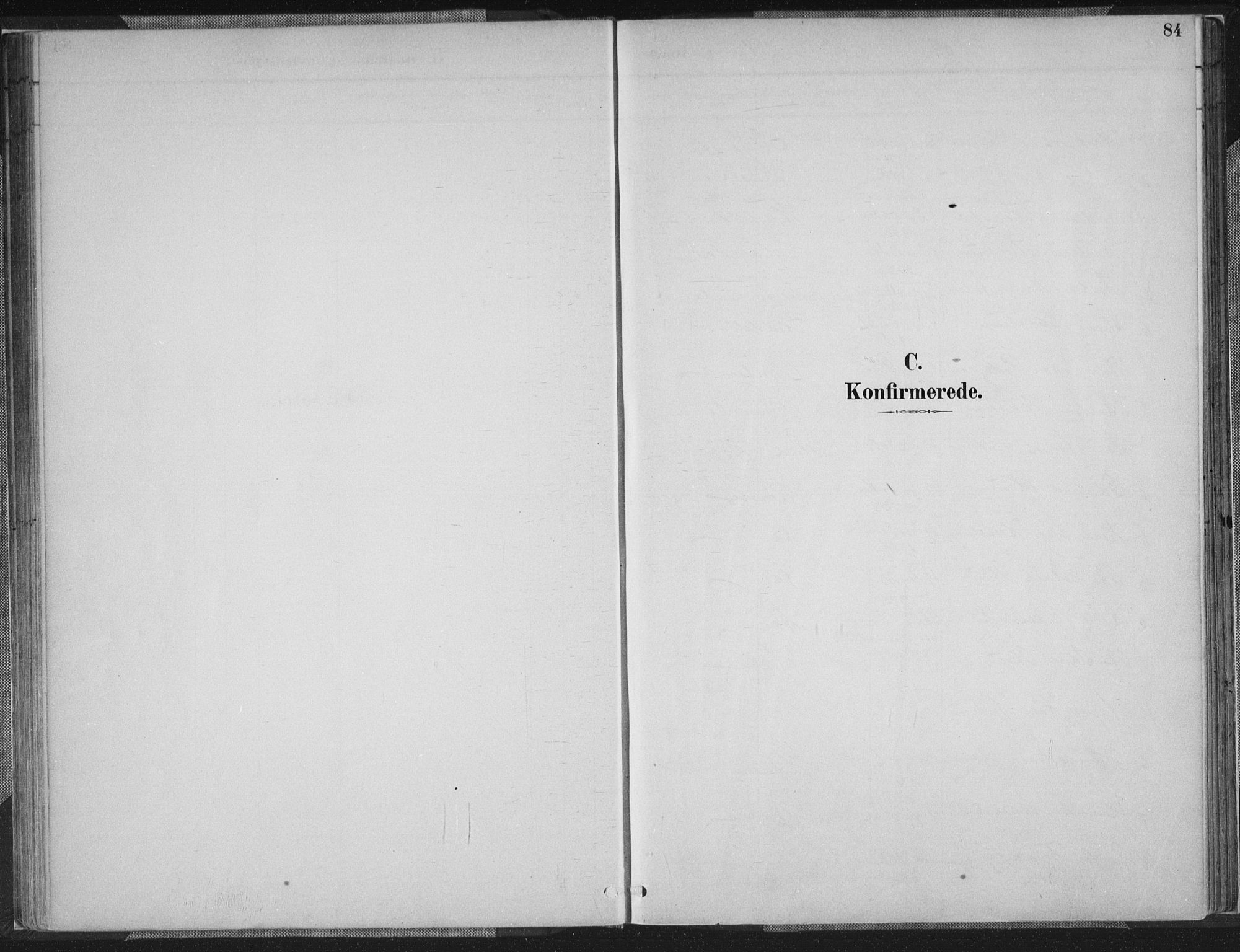 Sør-Audnedal sokneprestkontor, SAK/1111-0039/F/Fa/Faa/L0004: Parish register (official) no. A 4, 1884-1909, p. 84