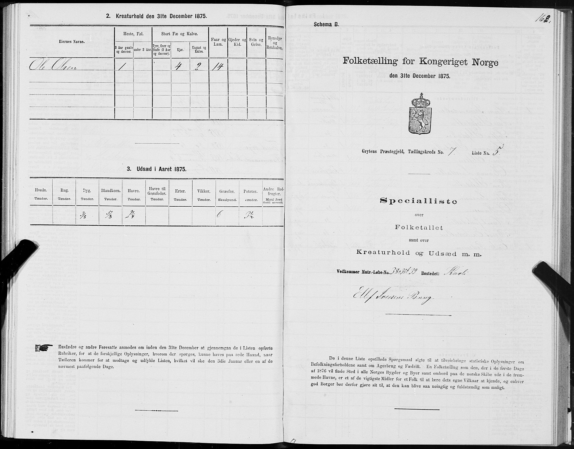 SAT, 1875 census for 1539P Grytten, 1875, p. 3163