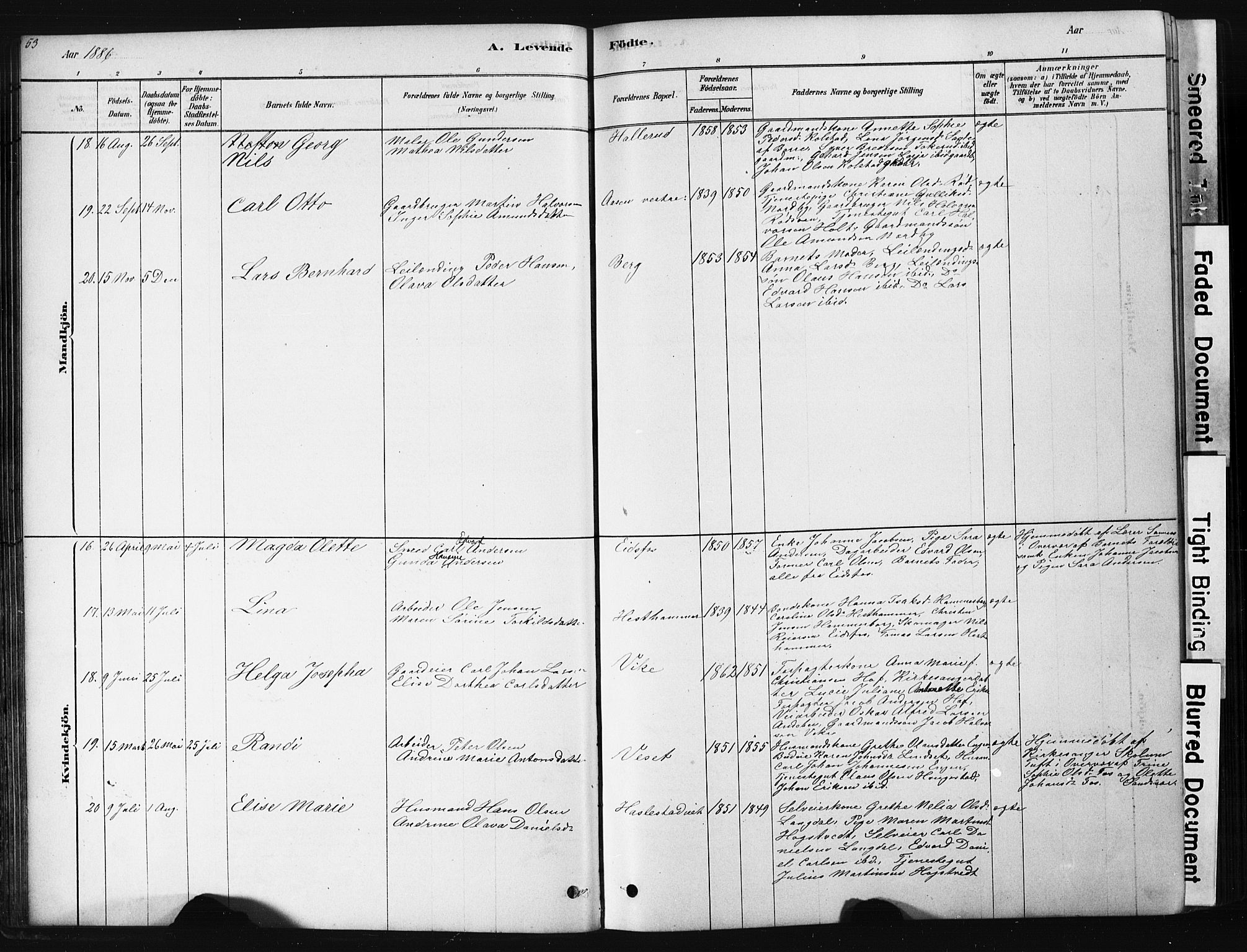 Hof kirkebøker, AV/SAKO-A-64/G/Ga/L0004: Parish register (copy) no. I 4, 1878-1930, p. 53