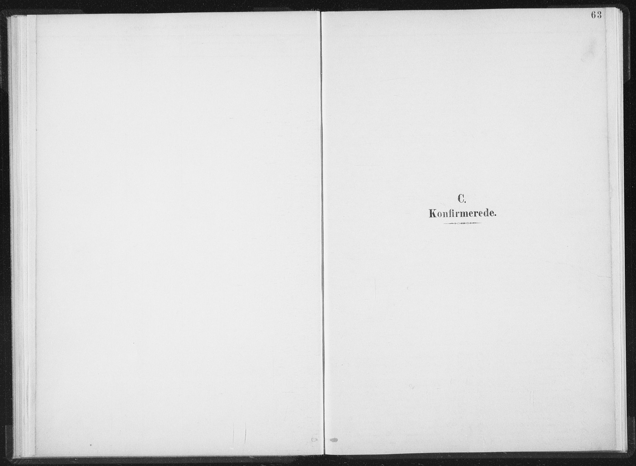 Ministerialprotokoller, klokkerbøker og fødselsregistre - Nord-Trøndelag, SAT/A-1458/724/L0263: Parish register (official) no. 724A01, 1891-1907, p. 63