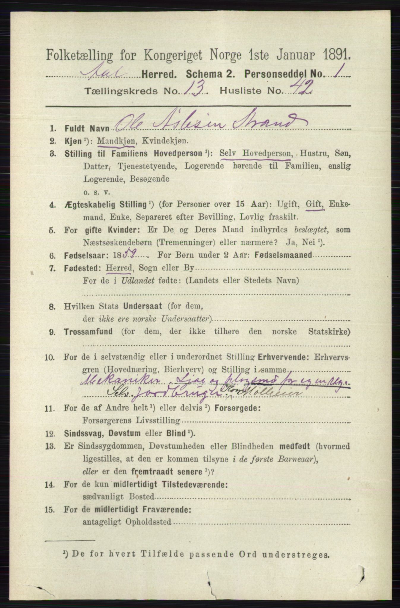 RA, 1891 census for 0619 Ål, 1891, p. 3494