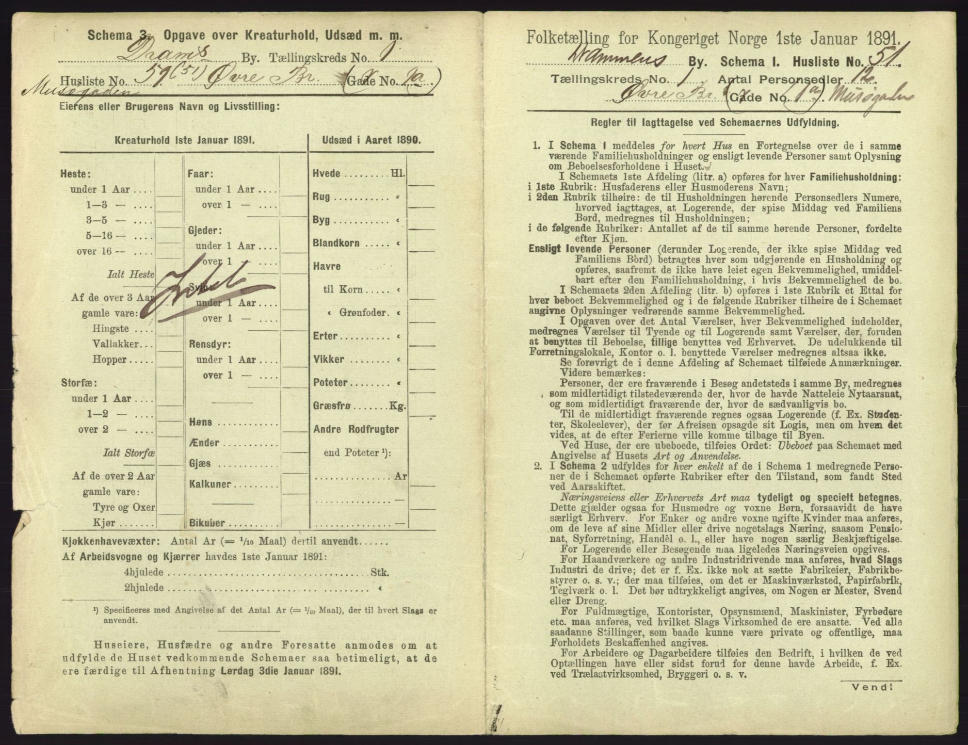 RA, 1891 census for 0602 Drammen, 1891, p. 197