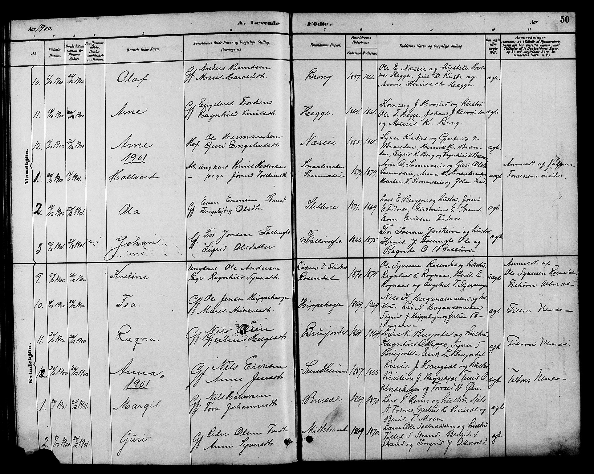 Nord-Aurdal prestekontor, SAH/PREST-132/H/Ha/Hab/L0007: Parish register (copy) no. 7, 1883-1910, p. 50