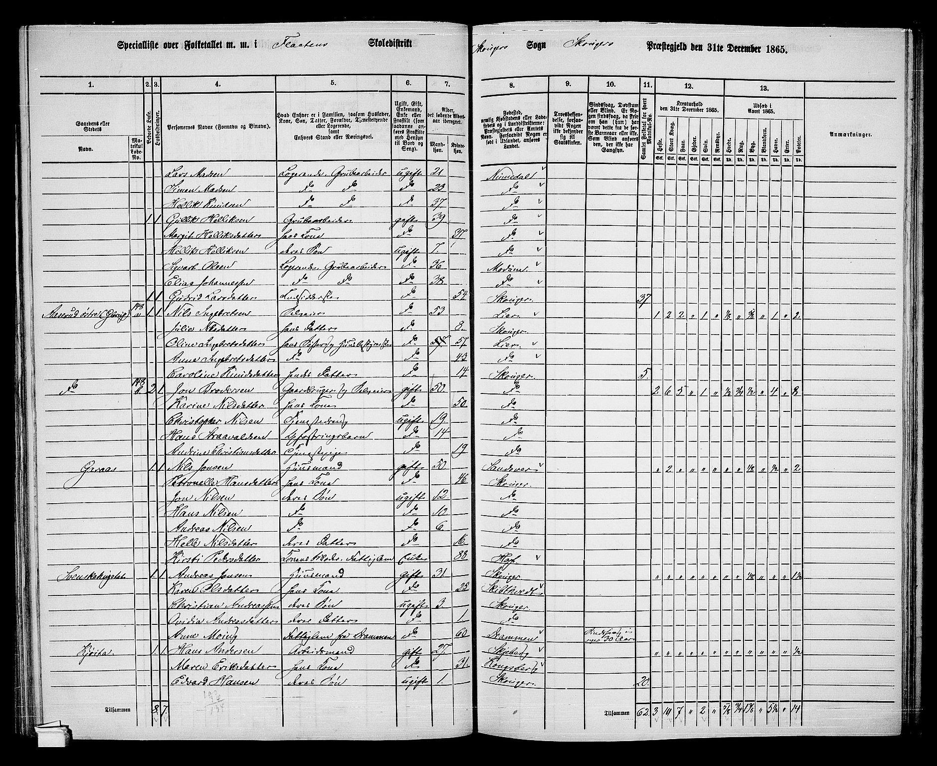 RA, 1865 census for Skoger, 1865, p. 90