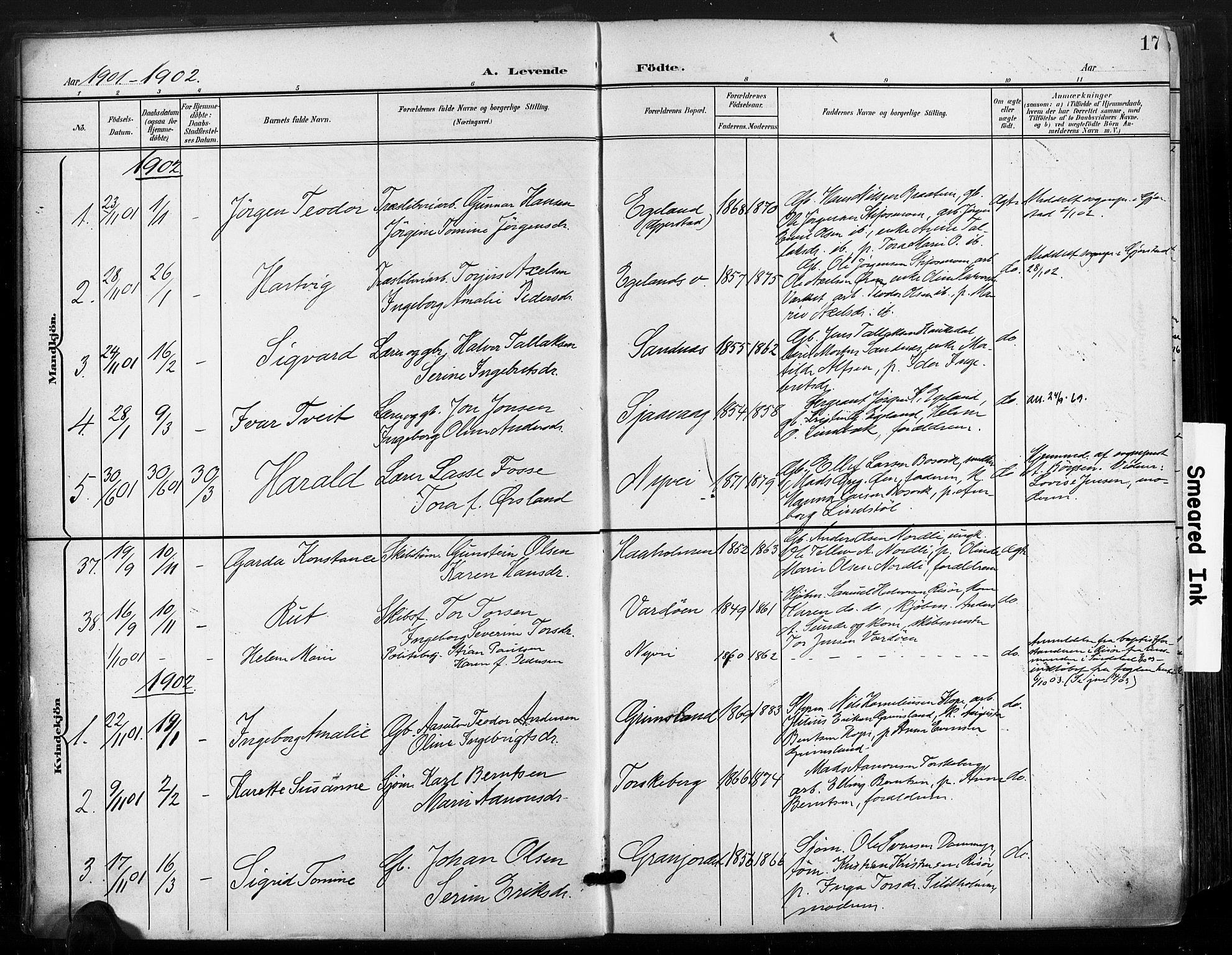 Søndeled sokneprestkontor, AV/SAK-1111-0038/F/Fa/L0006: Parish register (official) no. A 6, 1900-1922, p. 17