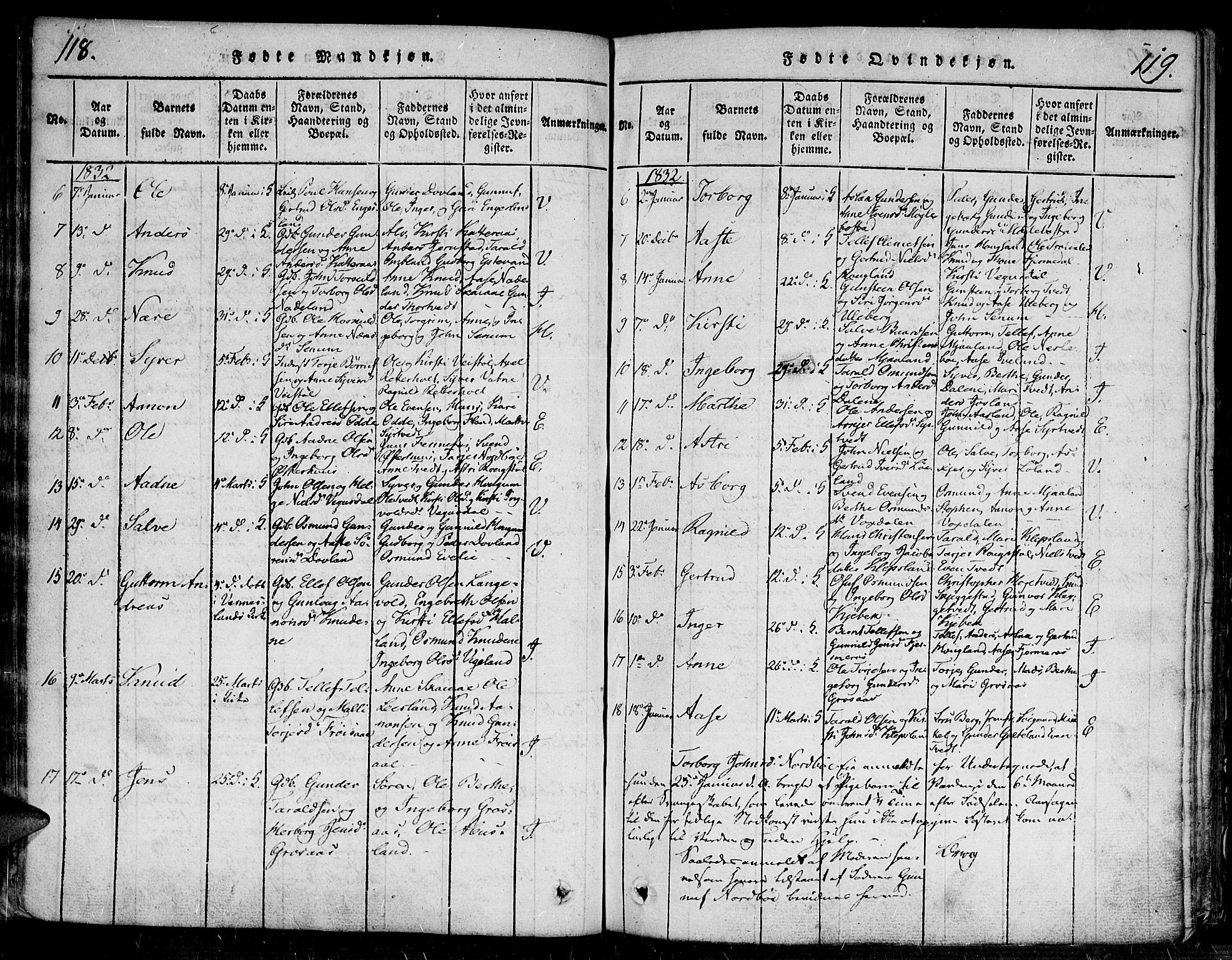 Evje sokneprestkontor, SAK/1111-0008/F/Fa/Faa/L0004: Parish register (official) no. A 4, 1816-1840, p. 118-119