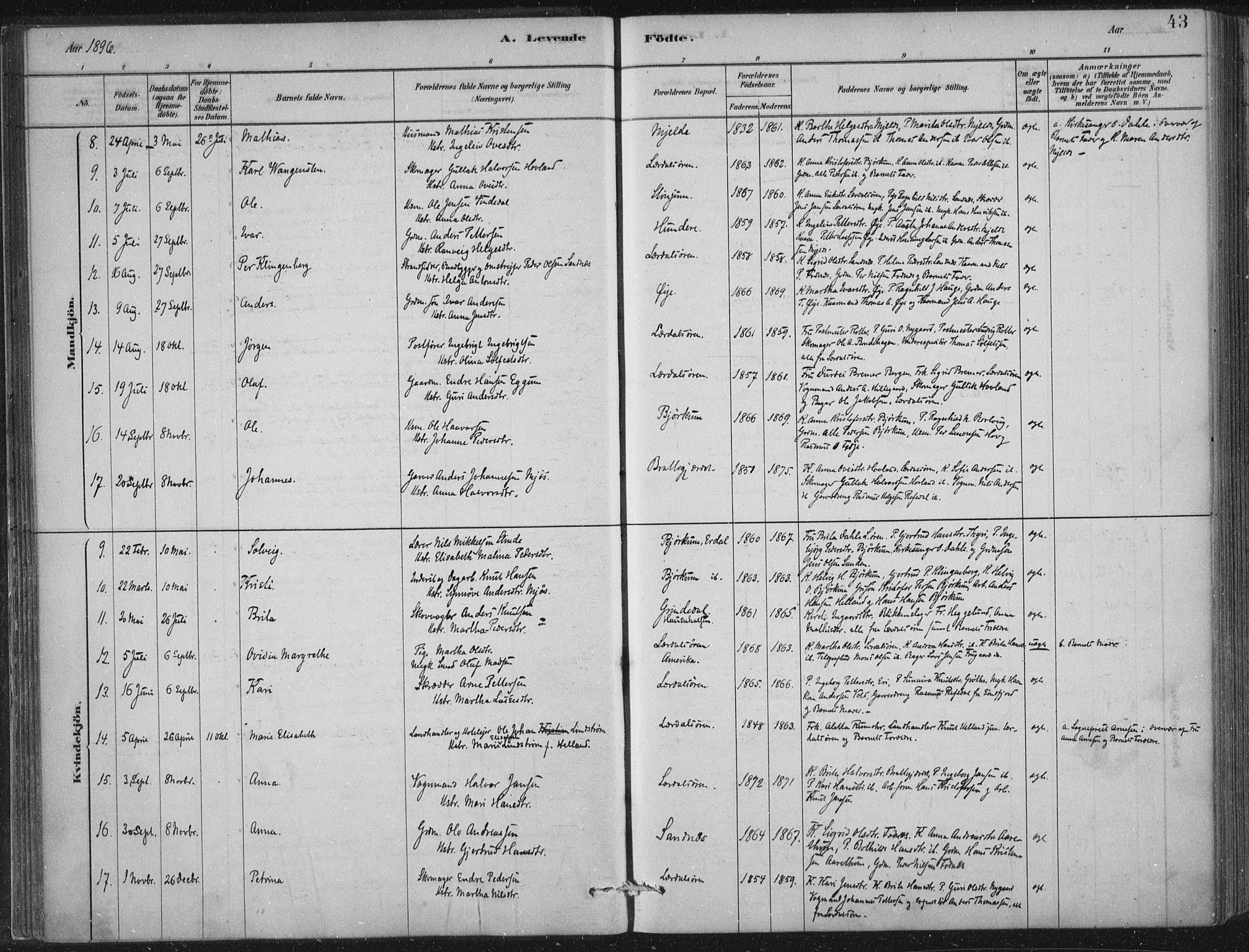 Lærdal sokneprestembete, AV/SAB-A-81201: Parish register (official) no. D  1, 1878-1908, p. 43