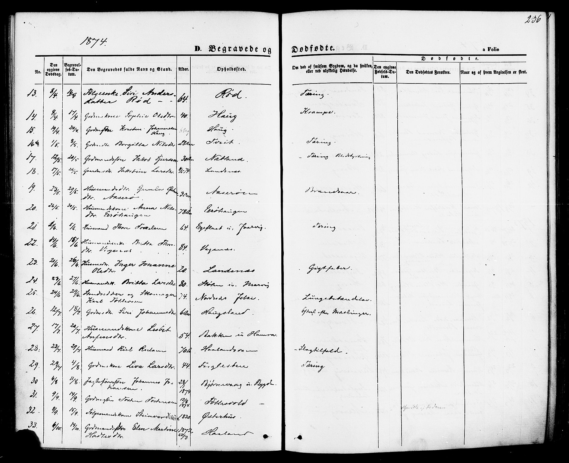 Jelsa sokneprestkontor, AV/SAST-A-101842/01/IV: Parish register (official) no. A 8, 1867-1883, p. 236