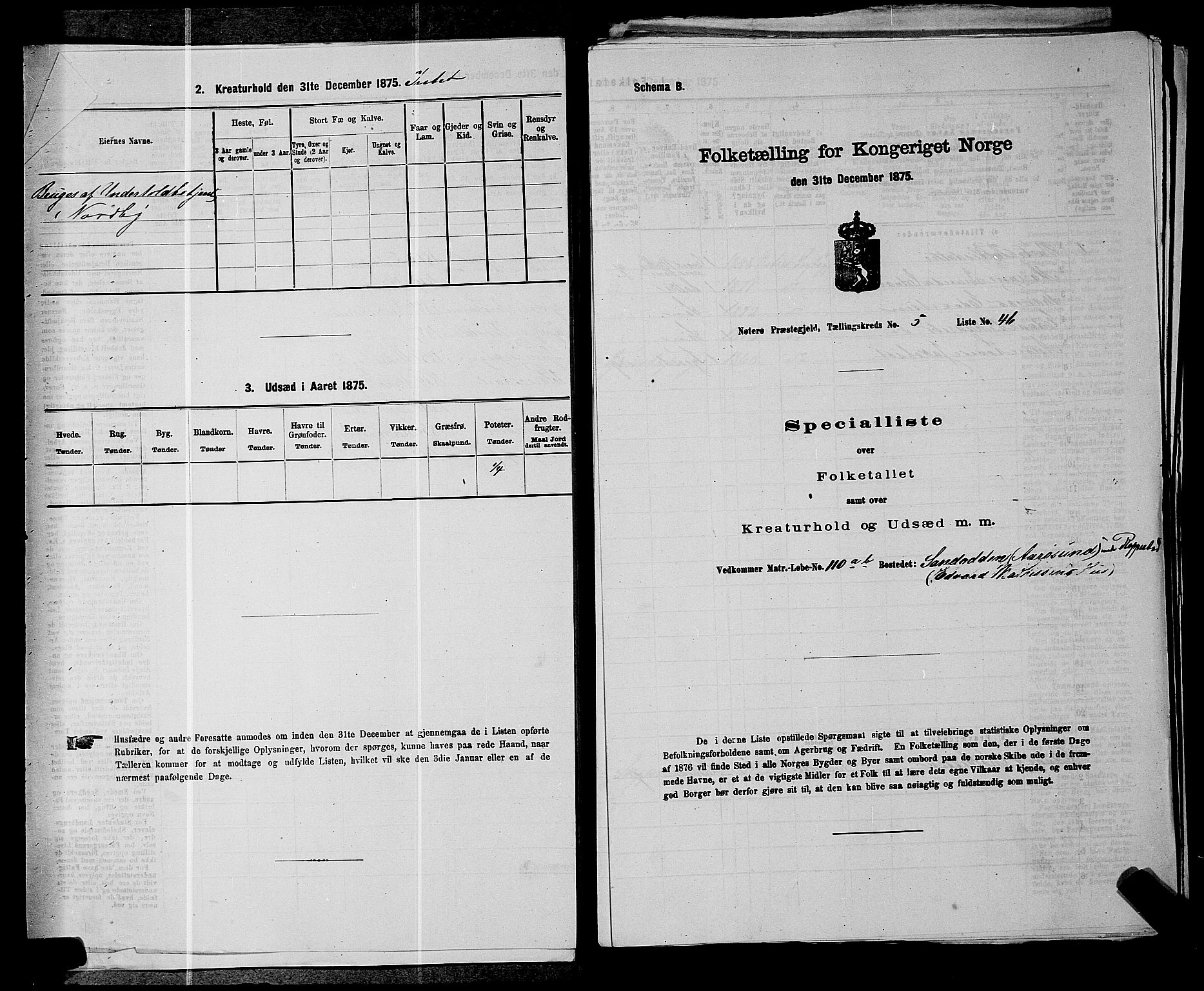 SAKO, 1875 census for 0722P Nøtterøy, 1875, p. 1060