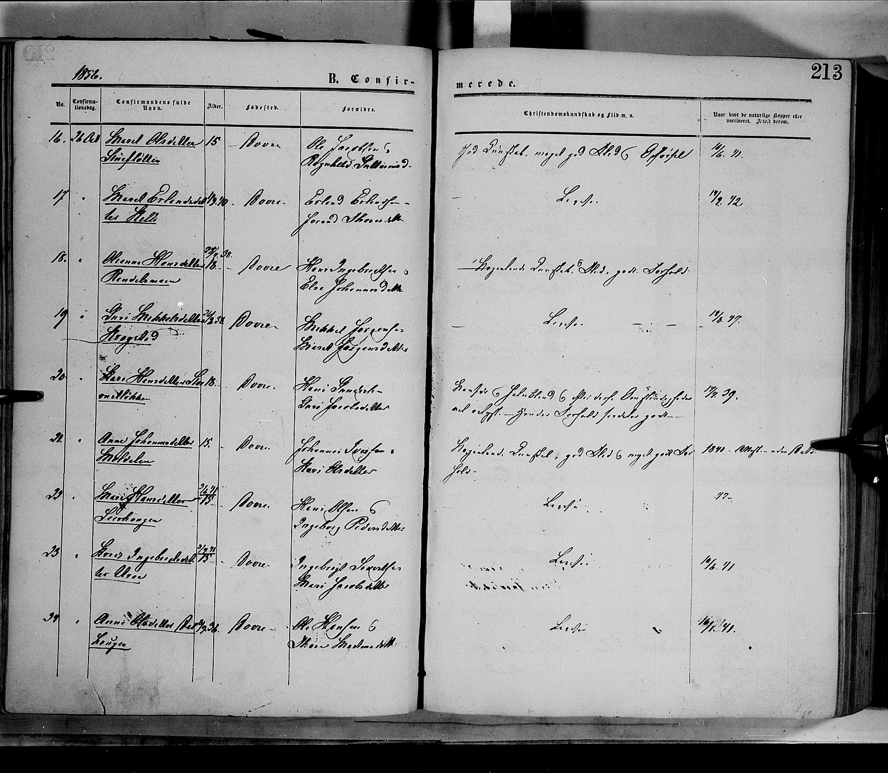 Dovre prestekontor, AV/SAH-PREST-066/H/Ha/Haa/L0001: Parish register (official) no. 1, 1854-1878, p. 213