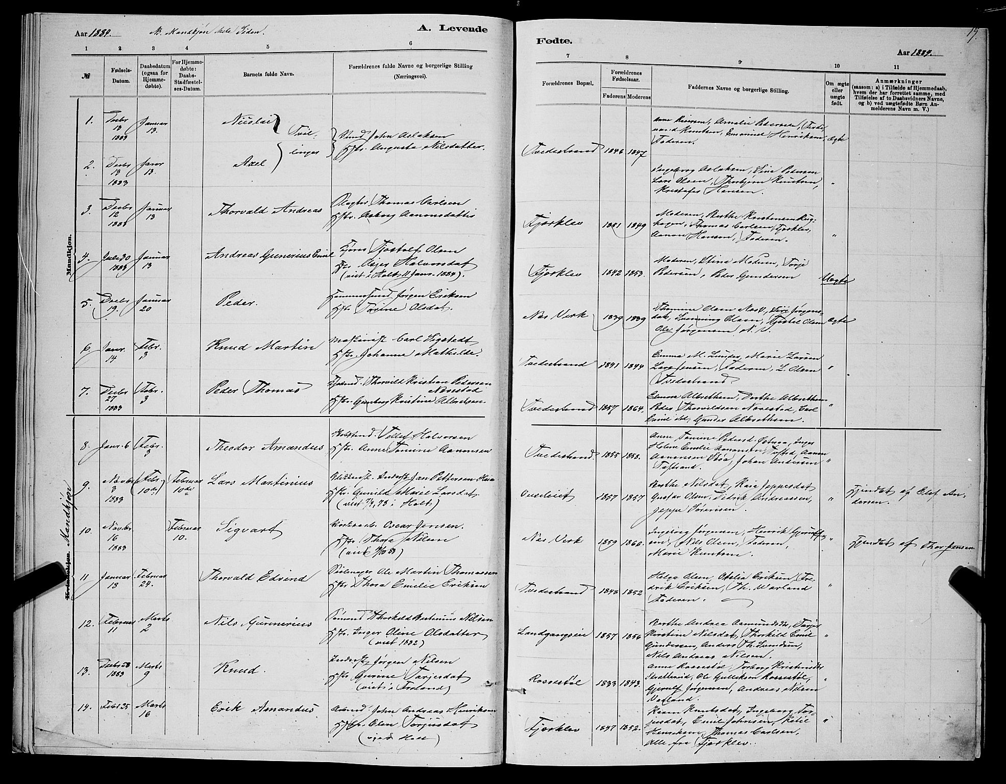 Holt sokneprestkontor, SAK/1111-0021/F/Fb/L0010: Parish register (copy) no. B 10, 1883-1896, p. 17