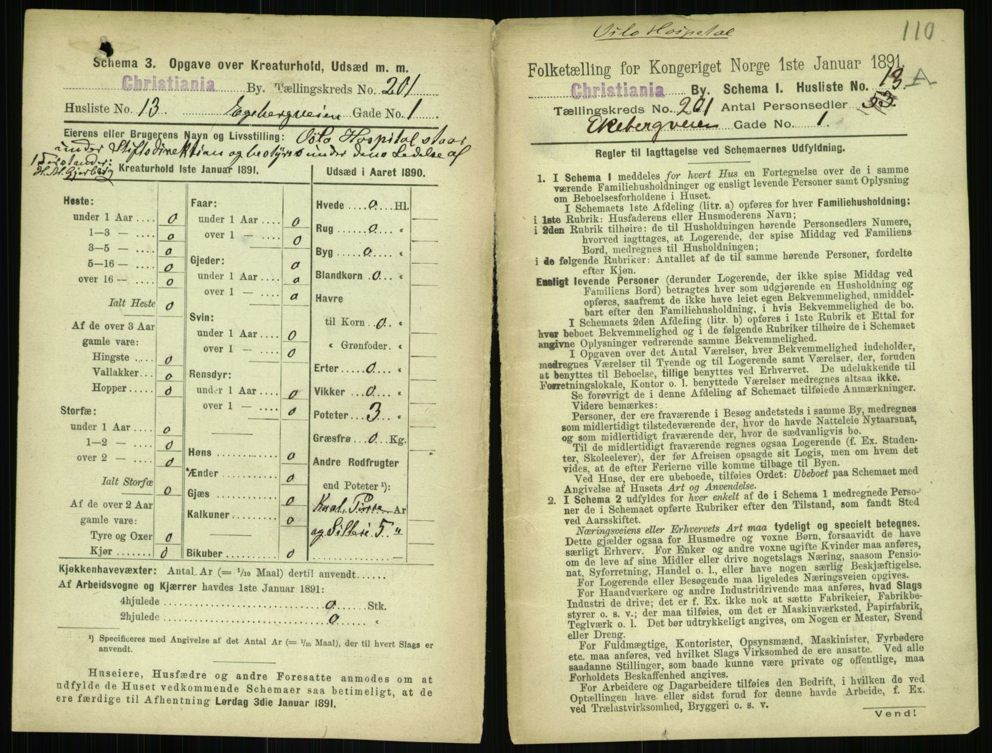 RA, 1891 census for 0301 Kristiania, 1891, p. 120902