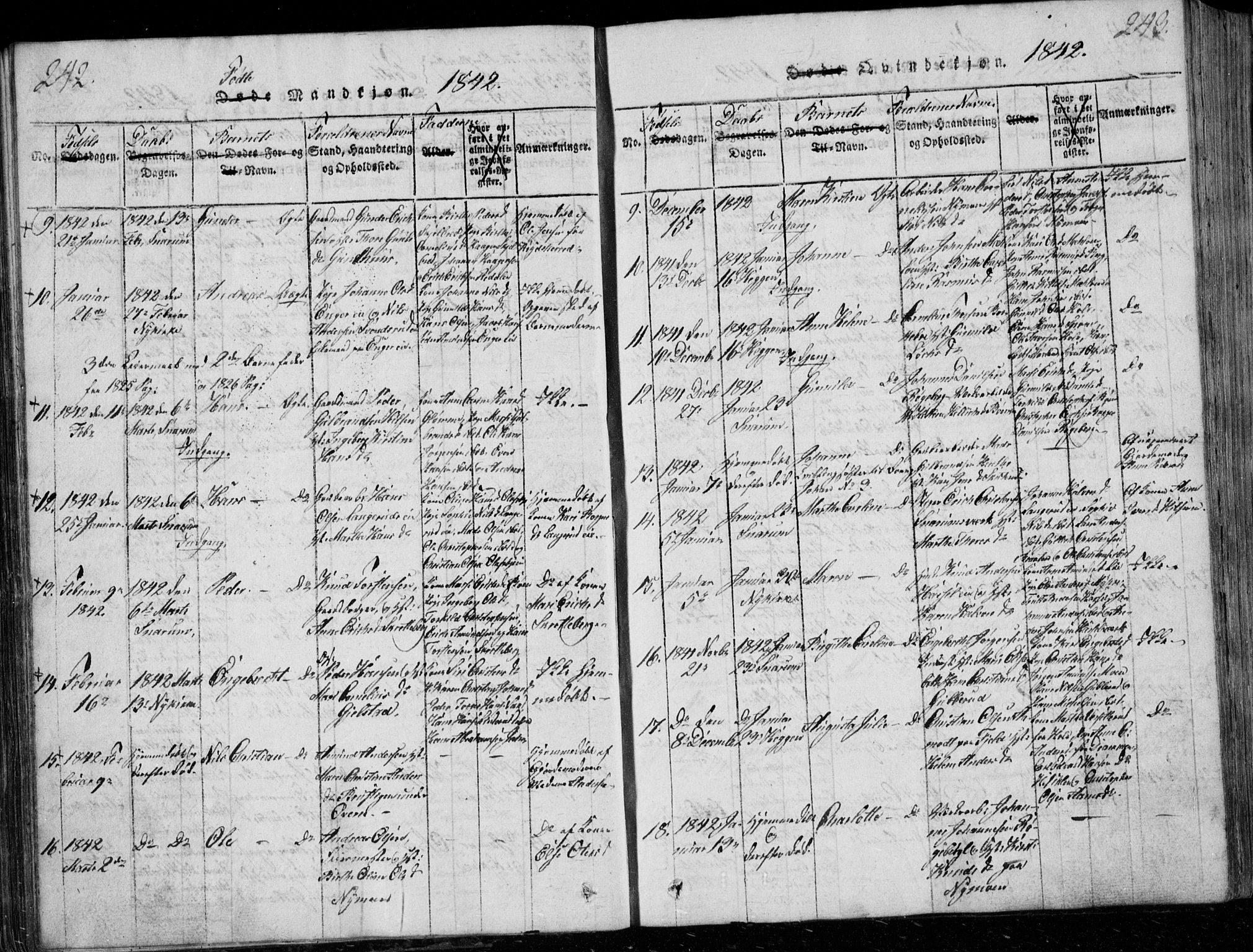 Modum kirkebøker, AV/SAKO-A-234/G/Ga/L0001: Parish register (copy) no. I 1, 1818-1824, p. 242-243