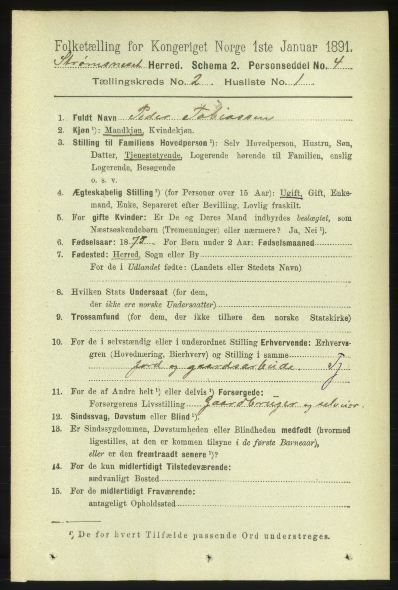 RA, 1891 census for 1559 Straumsnes, 1891, p. 215