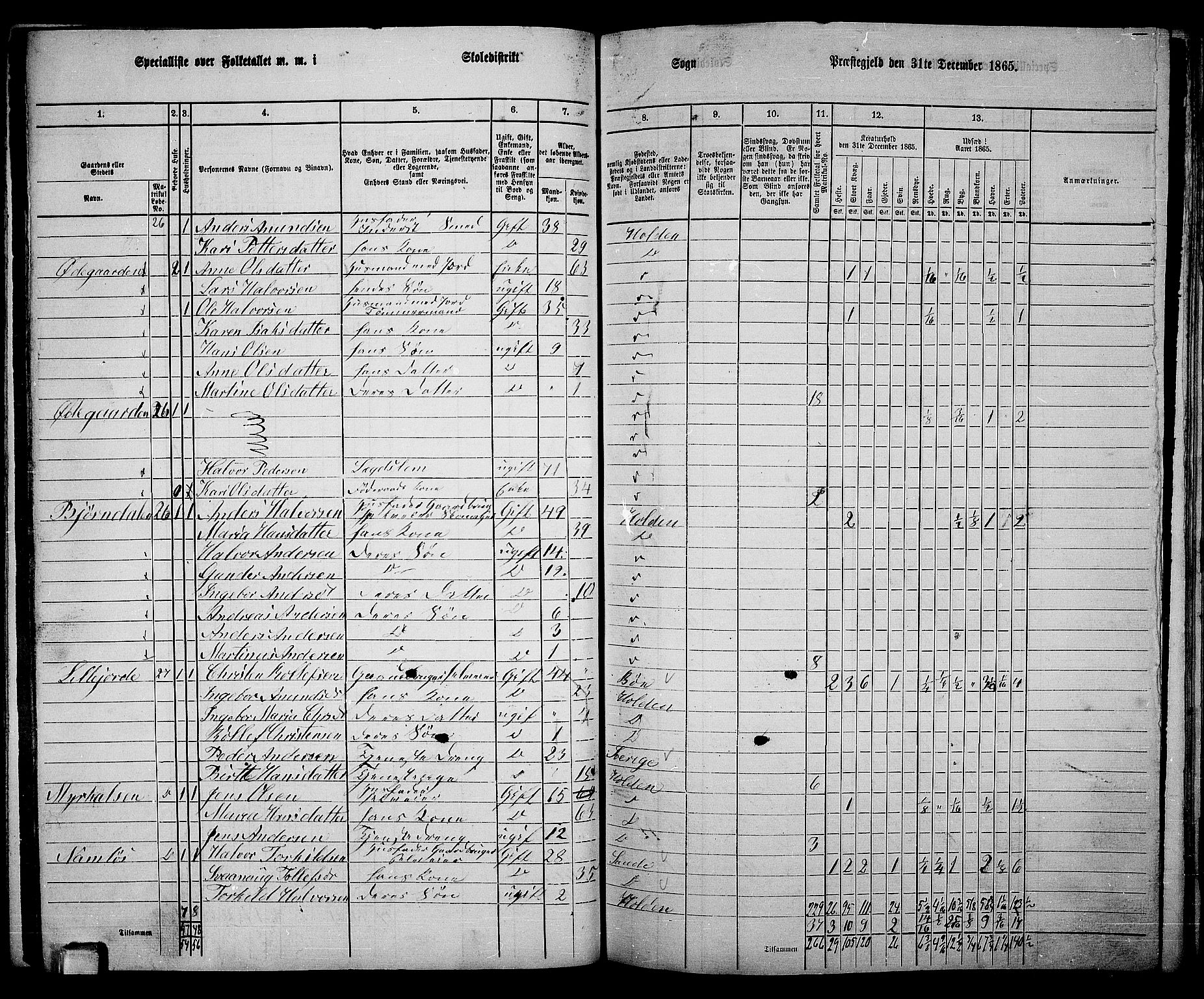 RA, 1865 census for Holla, 1865, p. 81