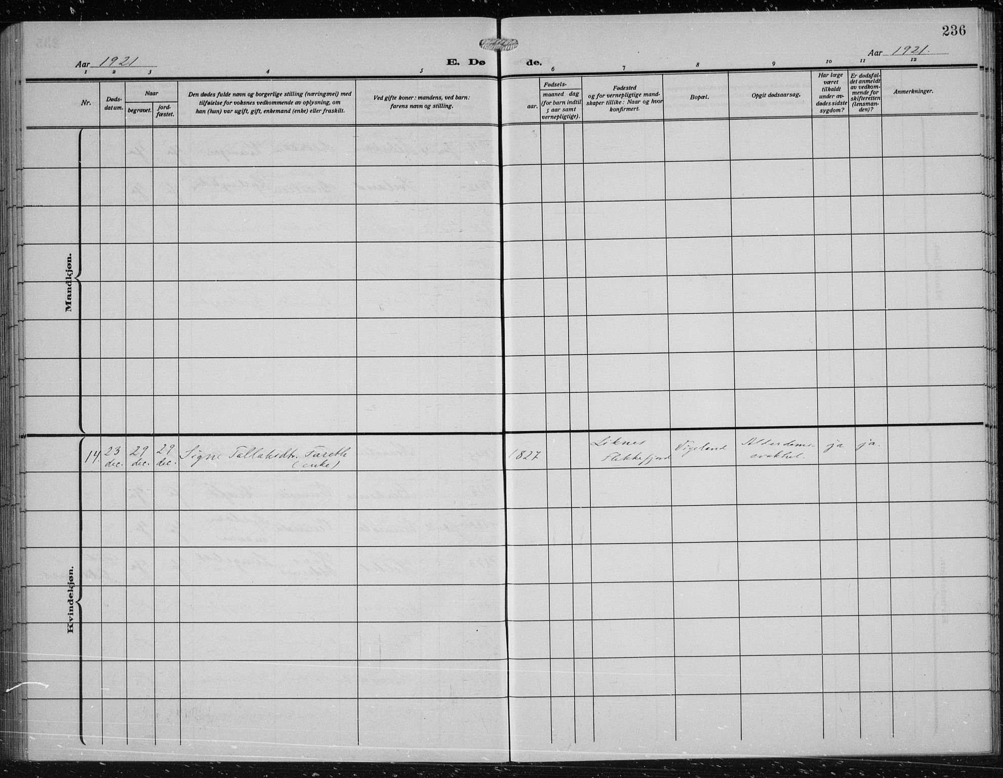 Vennesla sokneprestkontor, AV/SAK-1111-0045/Fb/Fbb/L0006: Parish register (copy) no. B 6, 1914-1921, p. 236