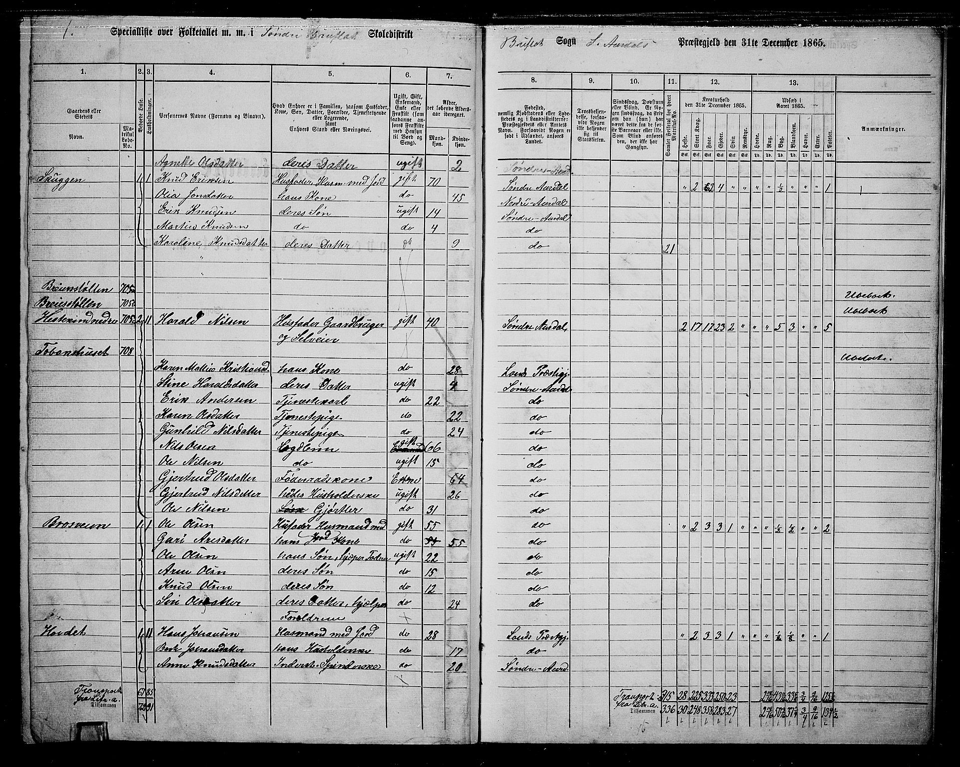 RA, 1865 census for Sør-Aurdal, 1865, p. 249