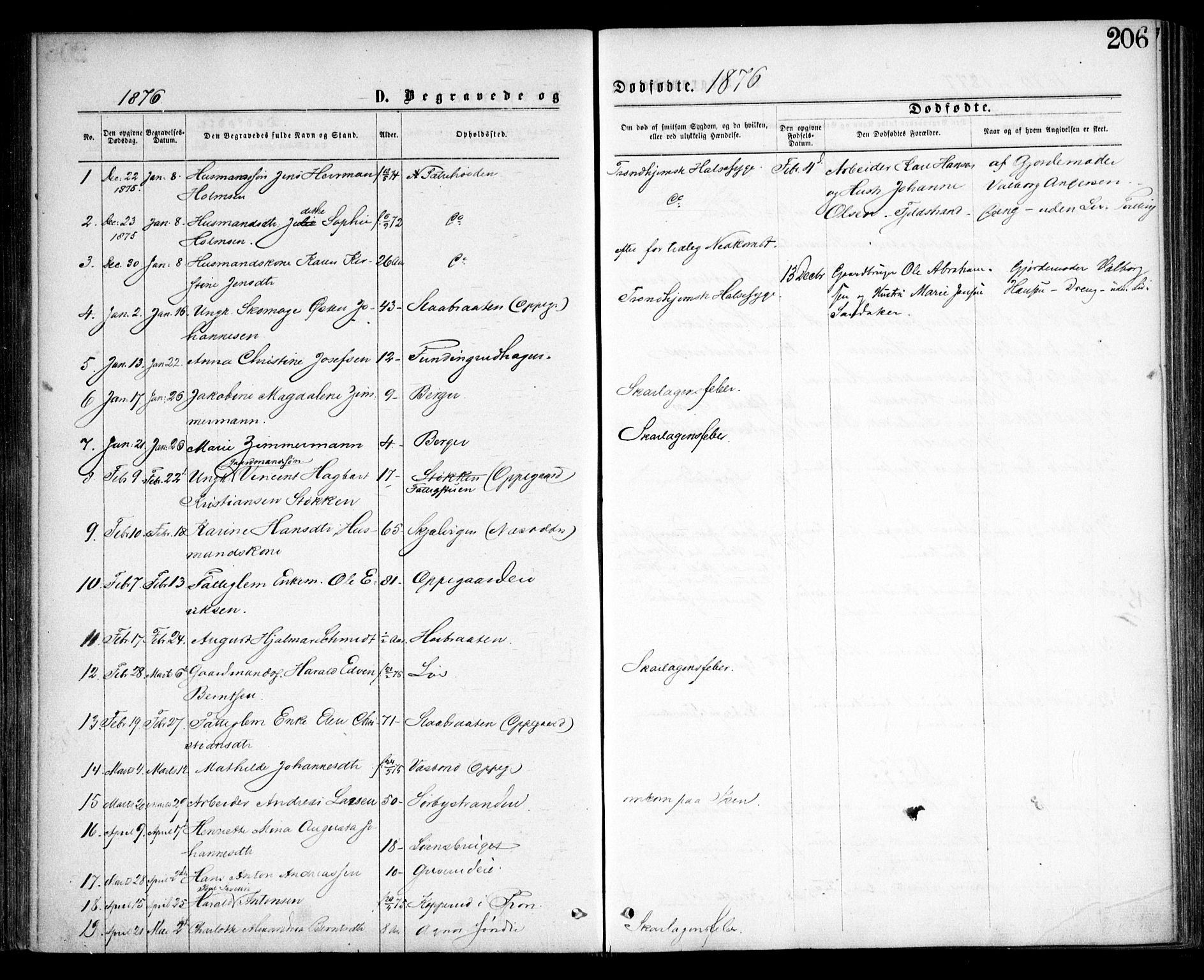 Nesodden prestekontor Kirkebøker, SAO/A-10013/F/Fa/L0008: Parish register (official) no. I 8, 1869-1879, p. 206
