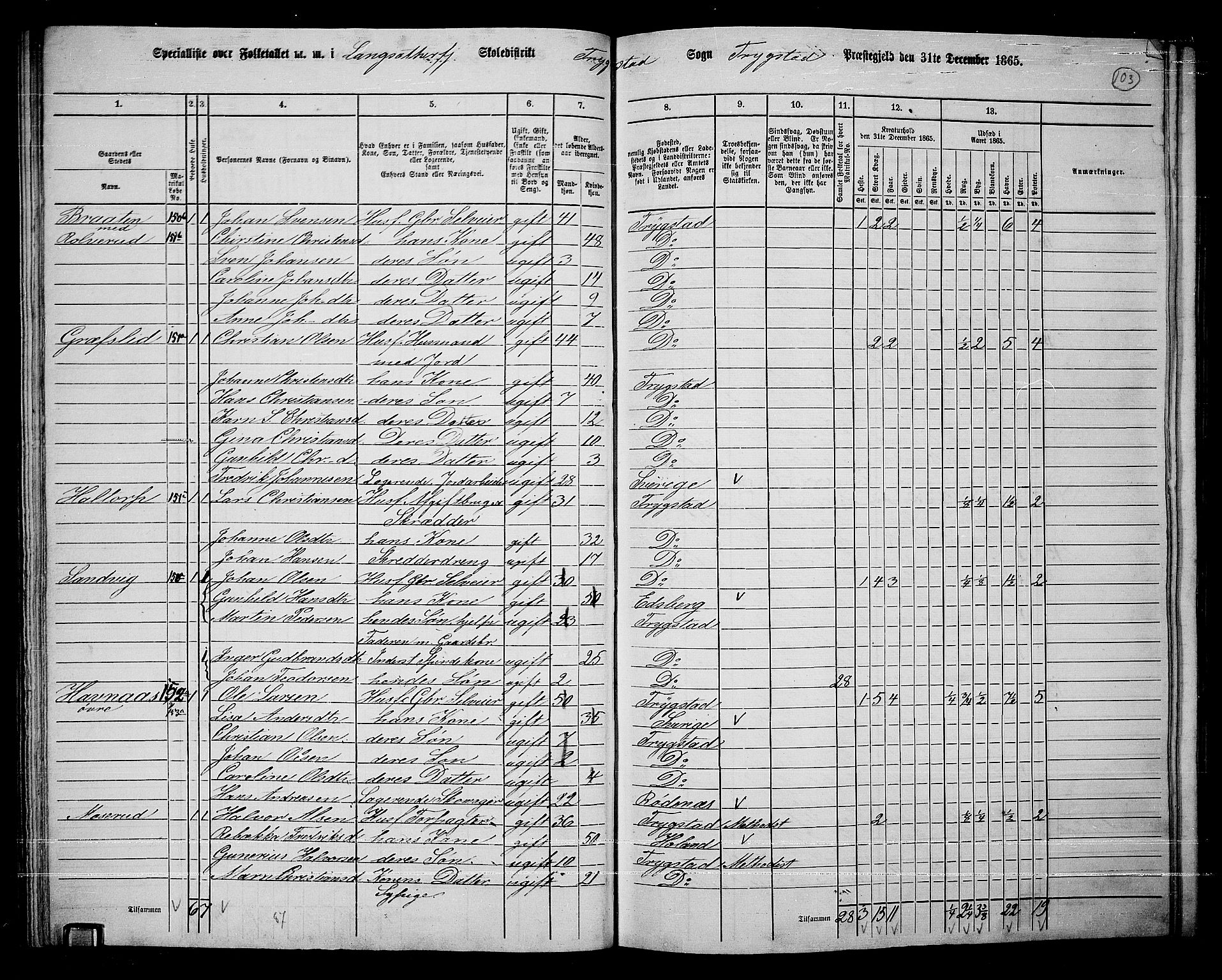 RA, 1865 census for Trøgstad, 1865, p. 87