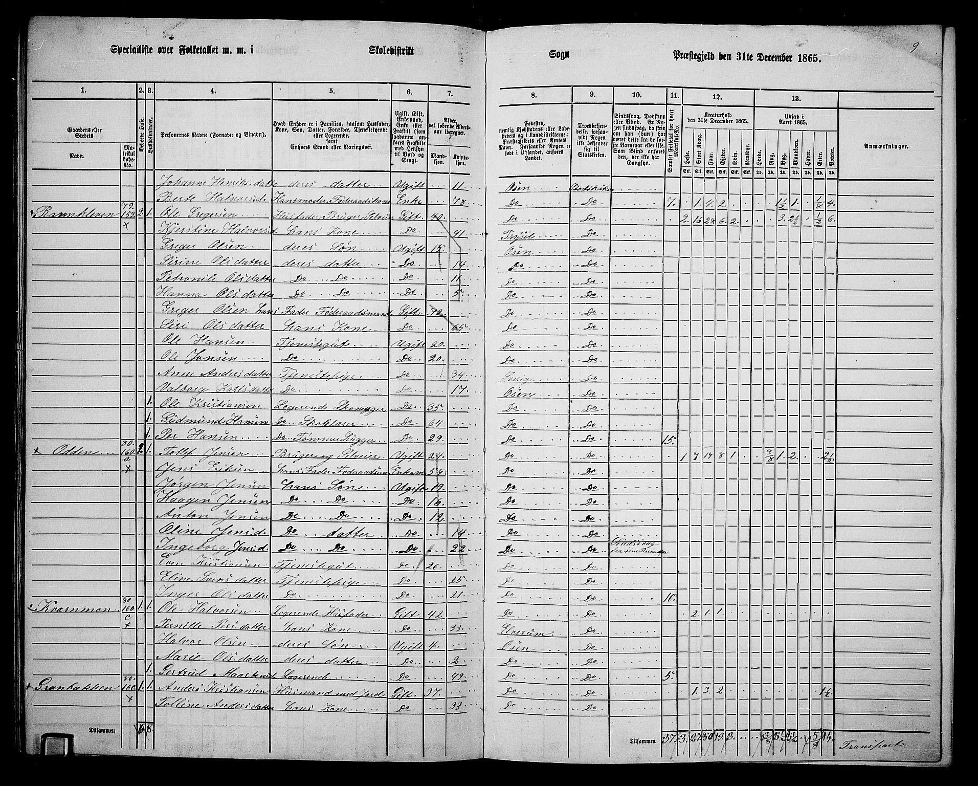 RA, 1865 census for Trysil, 1865, p. 173