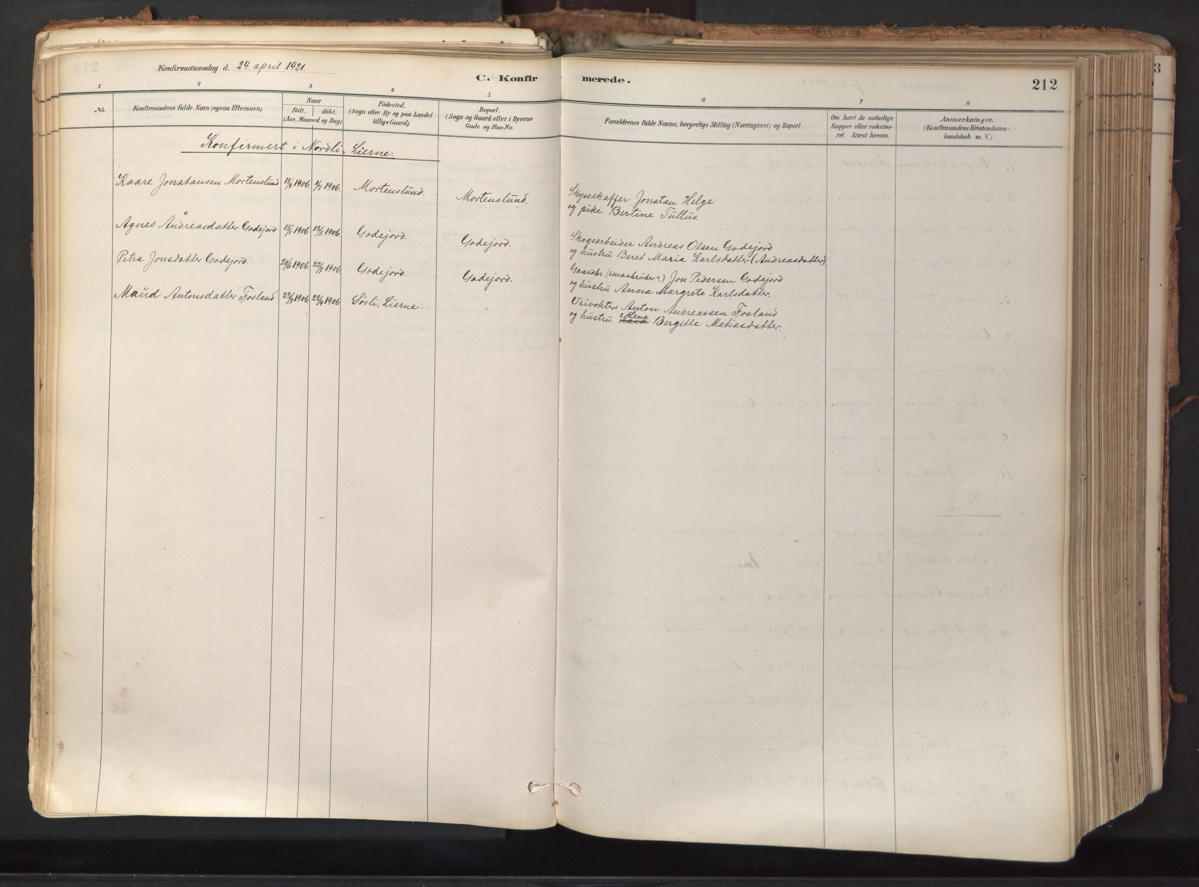 Ministerialprotokoller, klokkerbøker og fødselsregistre - Nord-Trøndelag, SAT/A-1458/758/L0519: Parish register (official) no. 758A04, 1880-1926, p. 212
