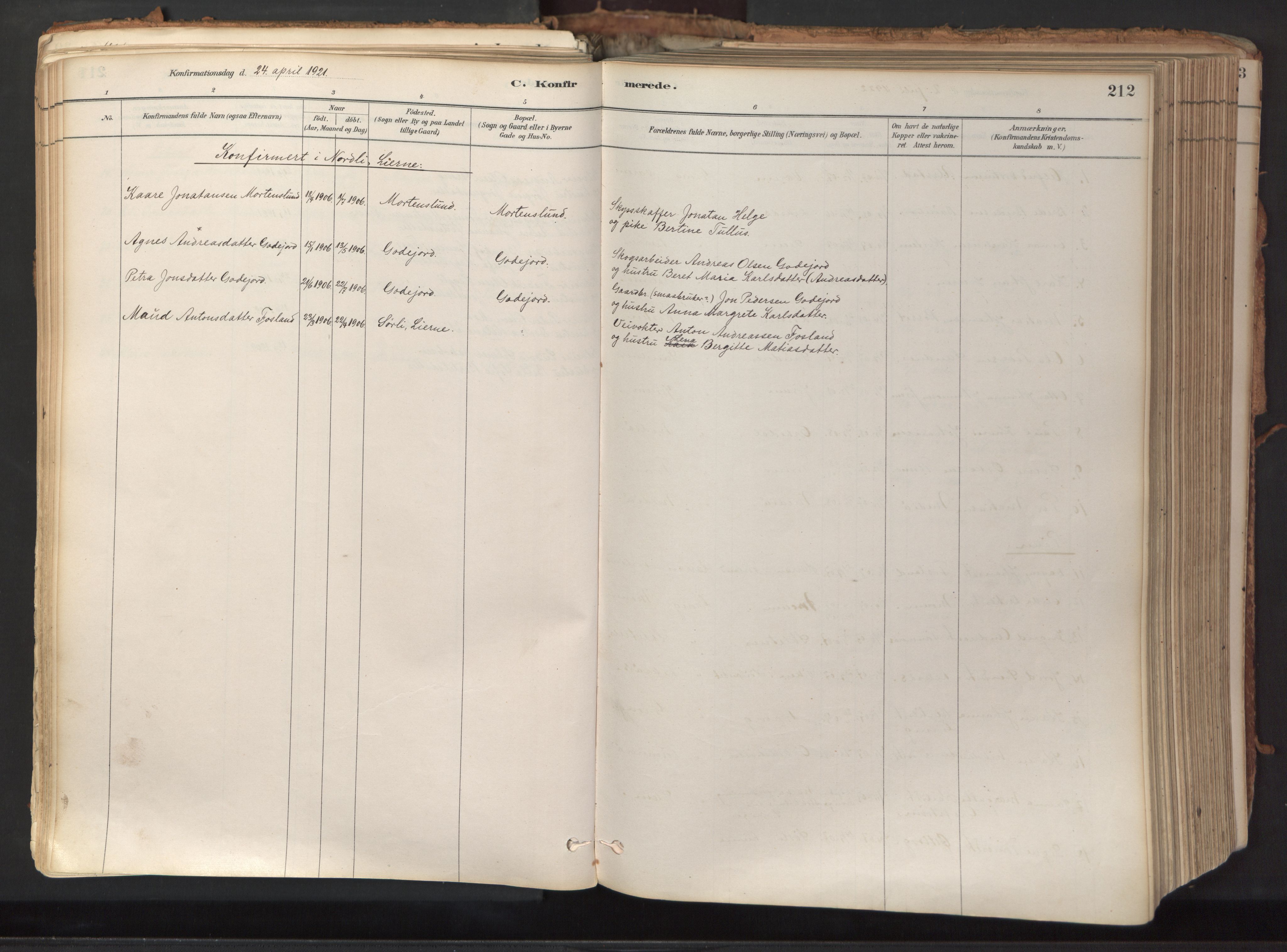 Ministerialprotokoller, klokkerbøker og fødselsregistre - Nord-Trøndelag, AV/SAT-A-1458/758/L0519: Parish register (official) no. 758A04, 1880-1926, p. 212