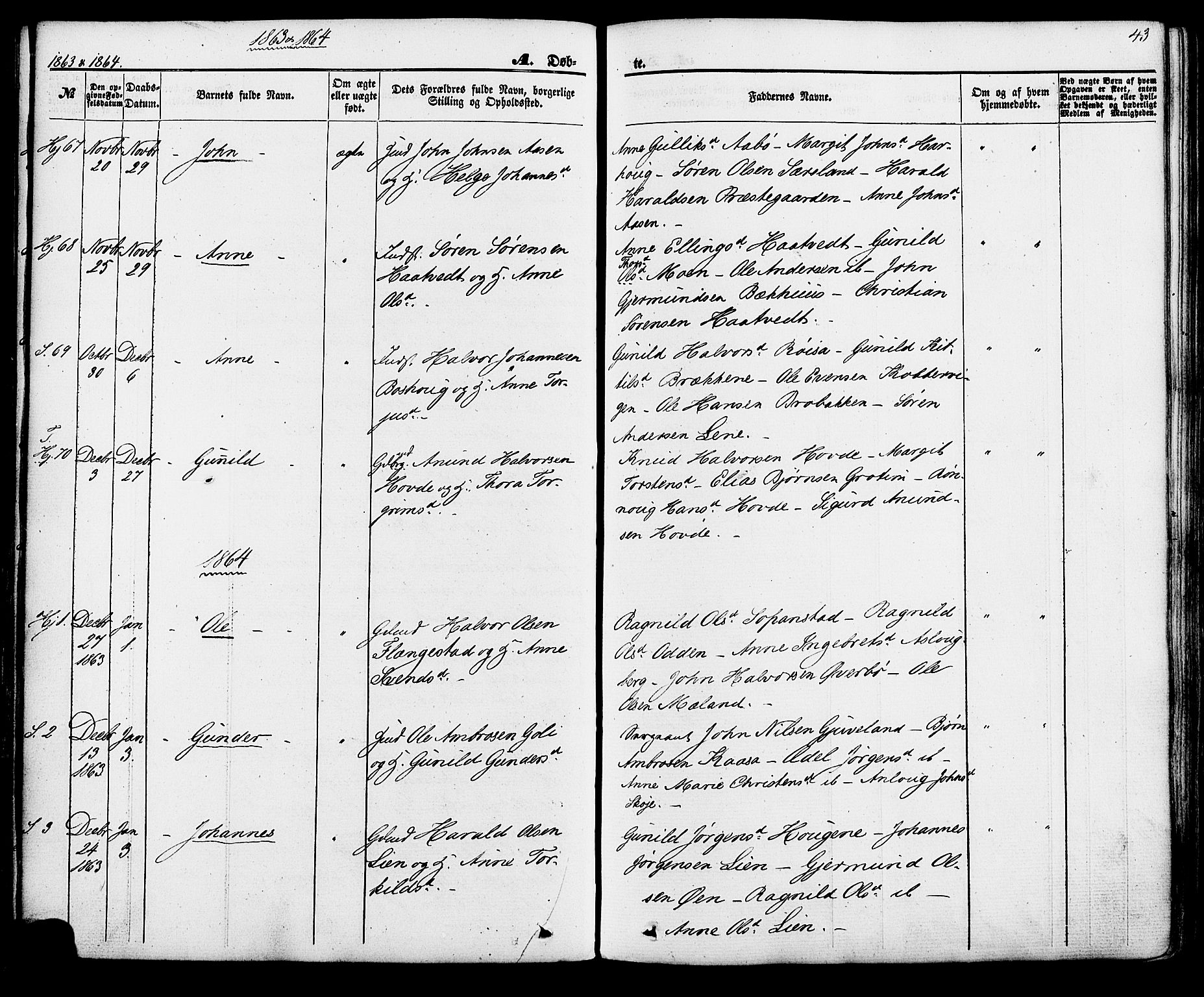Hjartdal kirkebøker, SAKO/A-270/F/Fa/L0009: Parish register (official) no. I 9, 1860-1879, p. 43