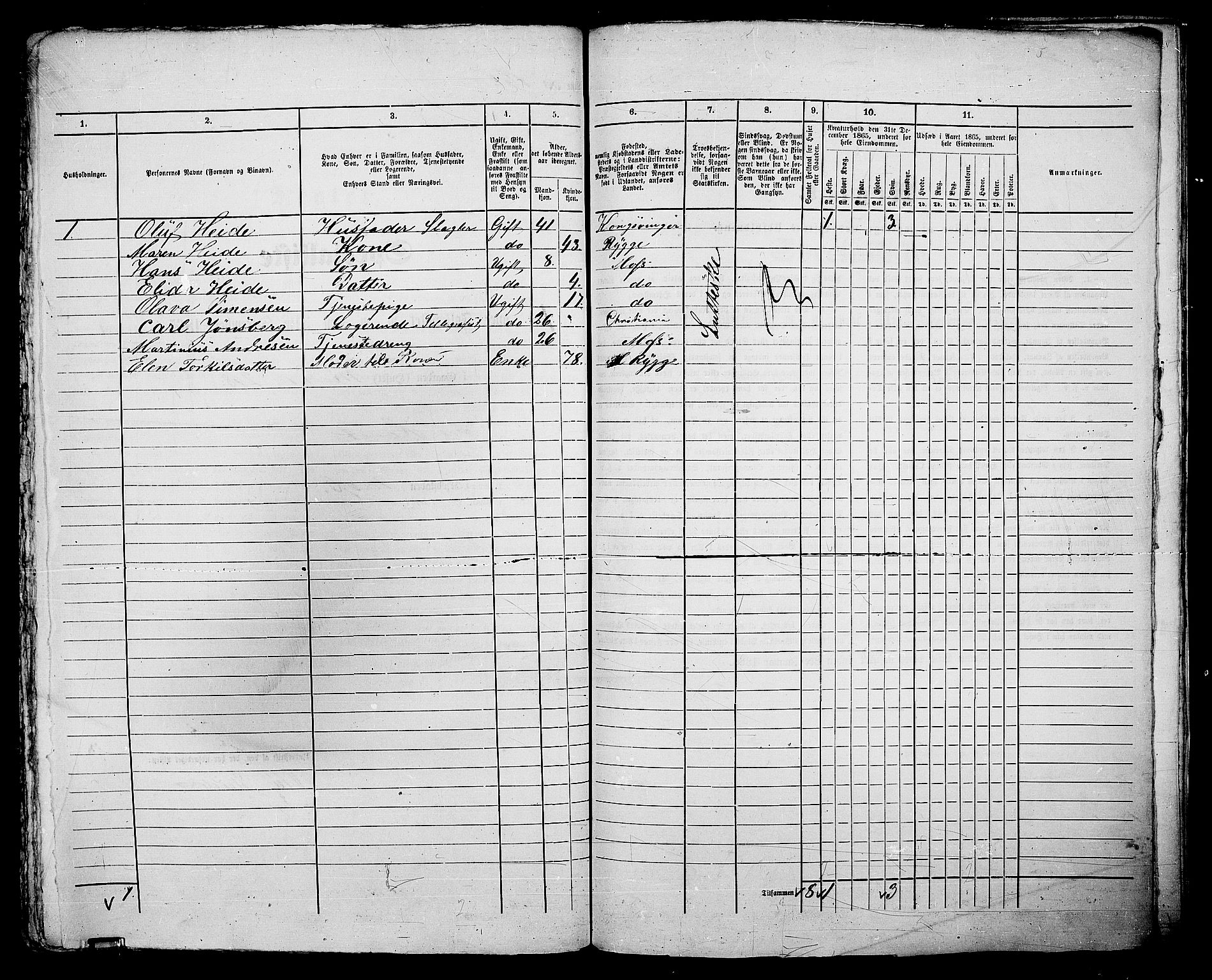 RA, 1865 census for Moss/Moss, 1865, p. 337