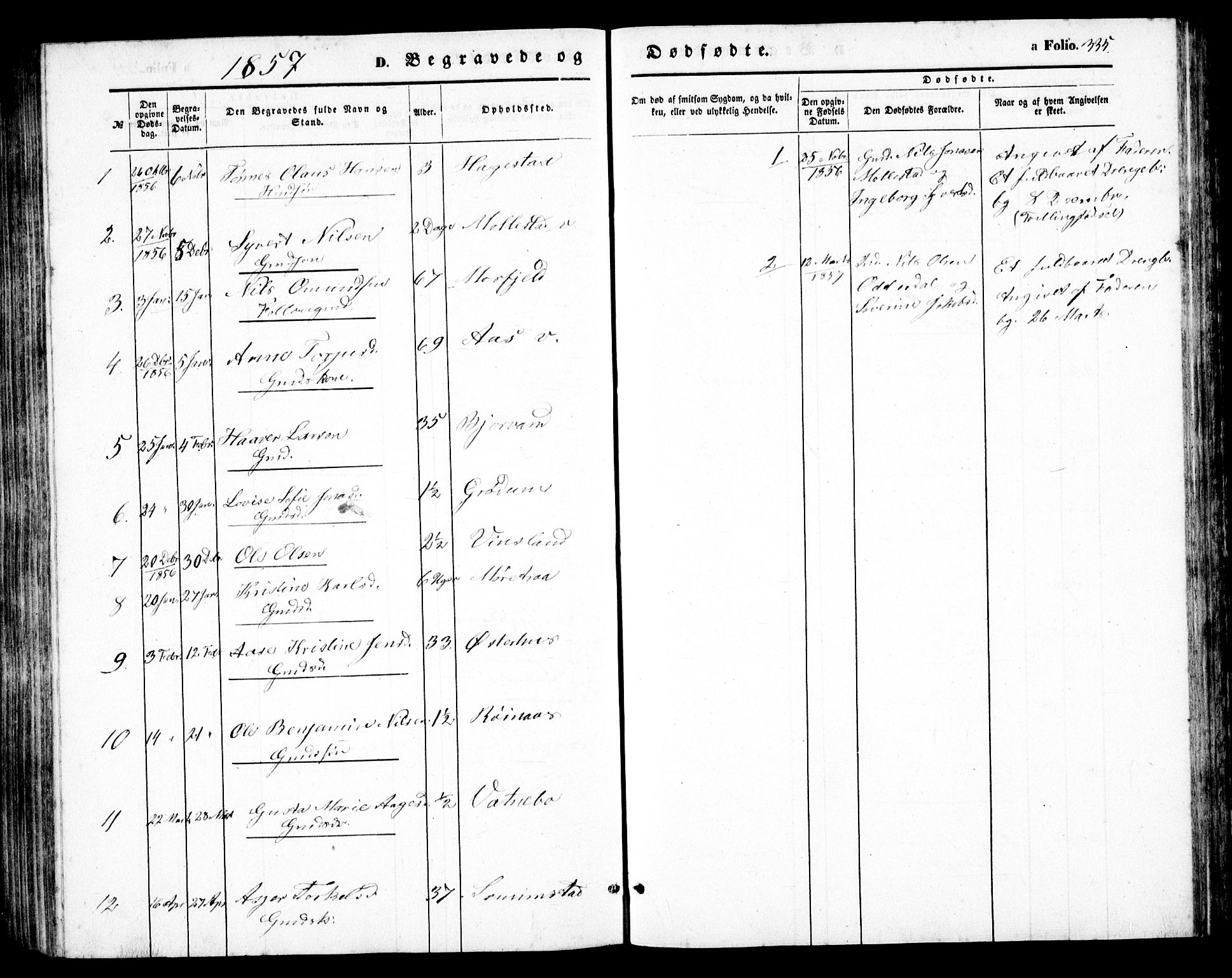 Birkenes sokneprestkontor, AV/SAK-1111-0004/F/Fb/L0002: Parish register (copy) no. B 2, 1849-1876, p. 335