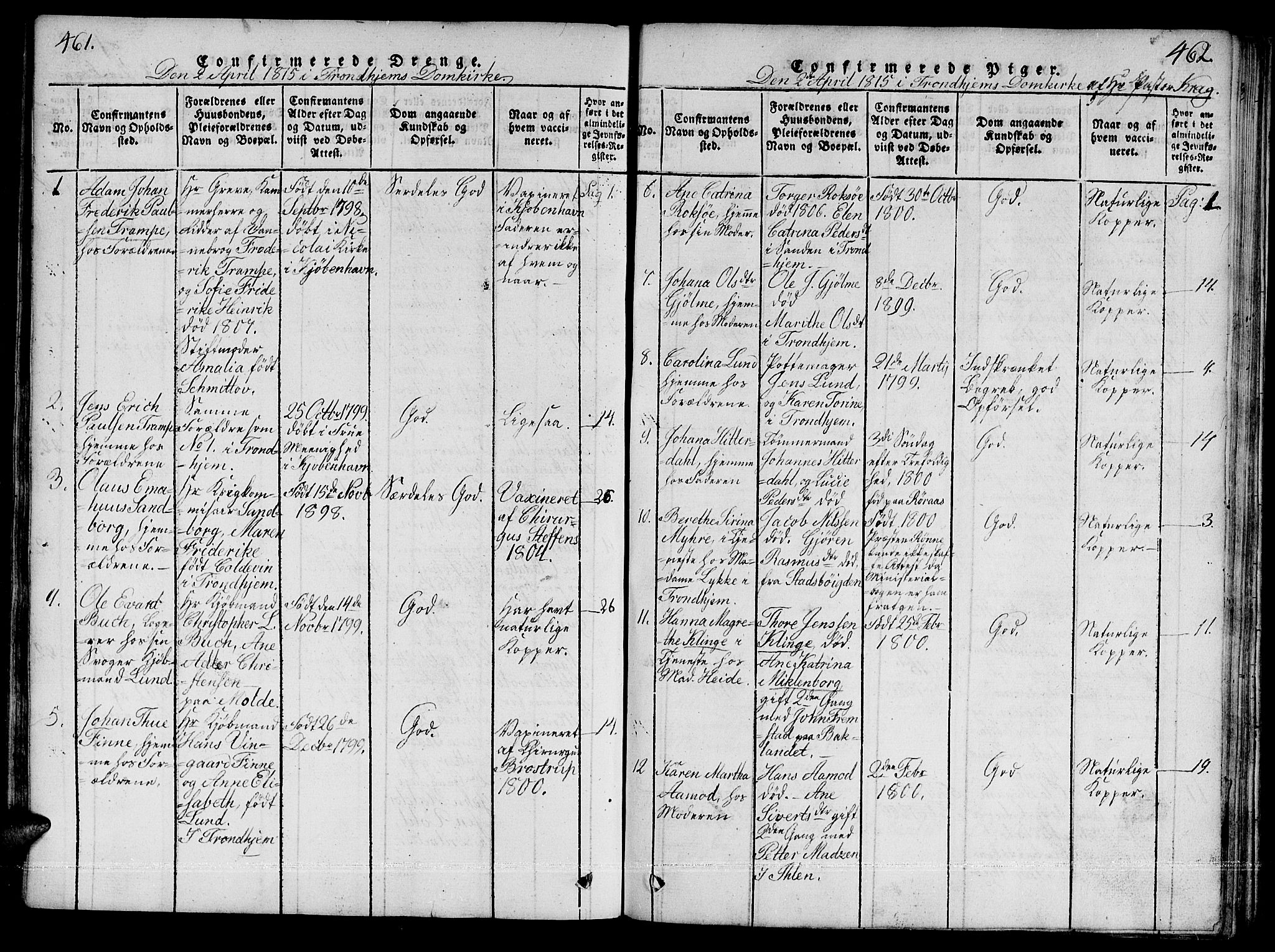 Ministerialprotokoller, klokkerbøker og fødselsregistre - Sør-Trøndelag, SAT/A-1456/601/L0043: Parish register (official) no. 601A11, 1815-1821, p. 461-462