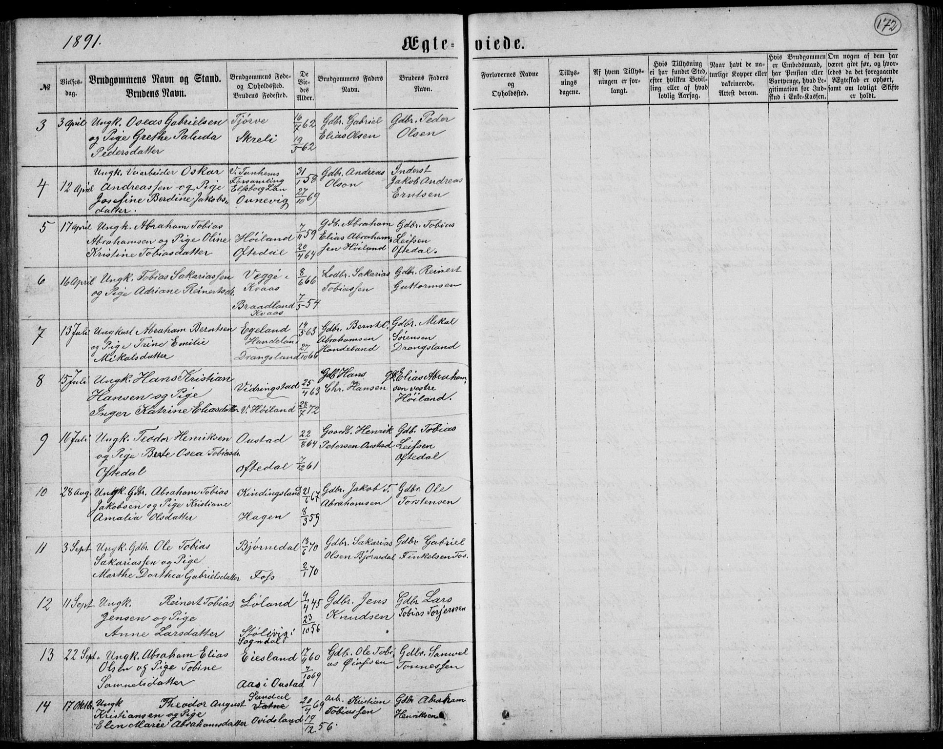 Lyngdal sokneprestkontor, AV/SAK-1111-0029/F/Fb/Fbc/L0004: Parish register (copy) no. B 4, 1878-1896, p. 172