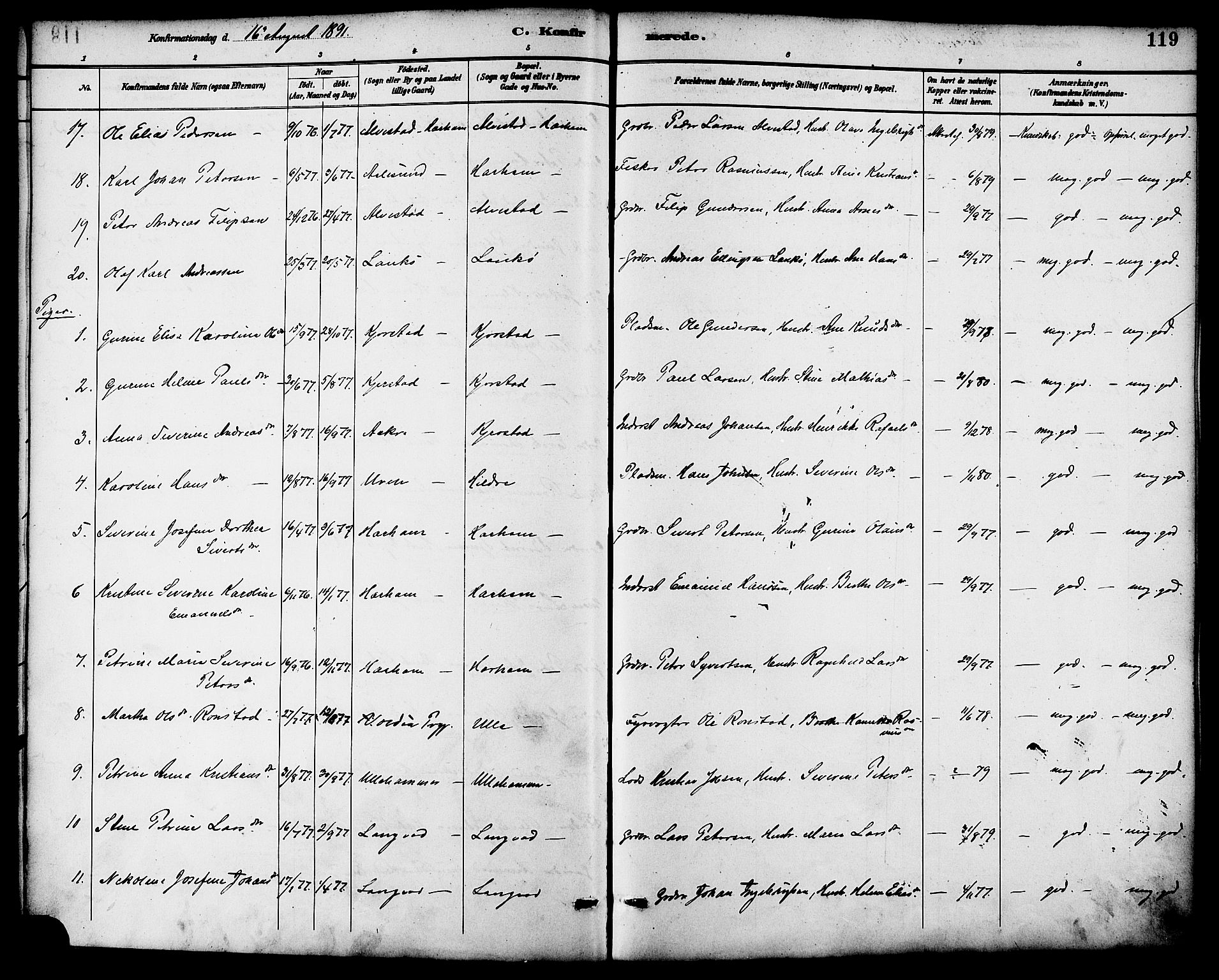 Ministerialprotokoller, klokkerbøker og fødselsregistre - Møre og Romsdal, AV/SAT-A-1454/536/L0501: Parish register (official) no. 536A10, 1884-1896, p. 119