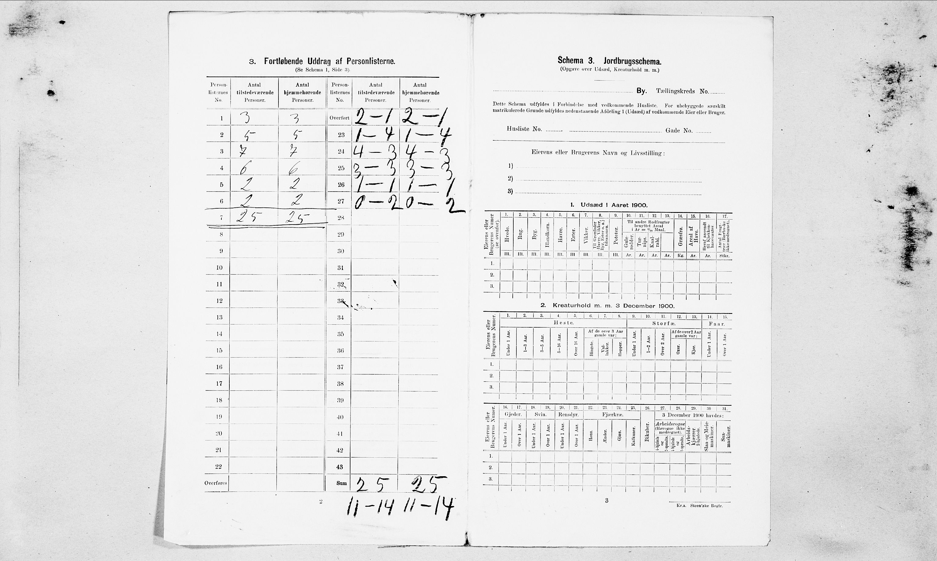 SAT, 1900 census for Ålesund, 1900, p. 1164