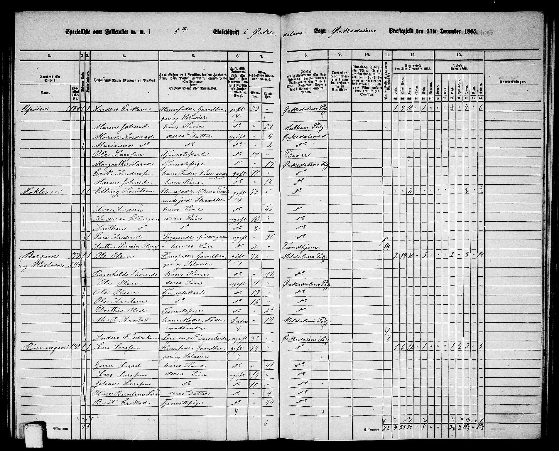 RA, 1865 census for Orkdal, 1865, p. 166