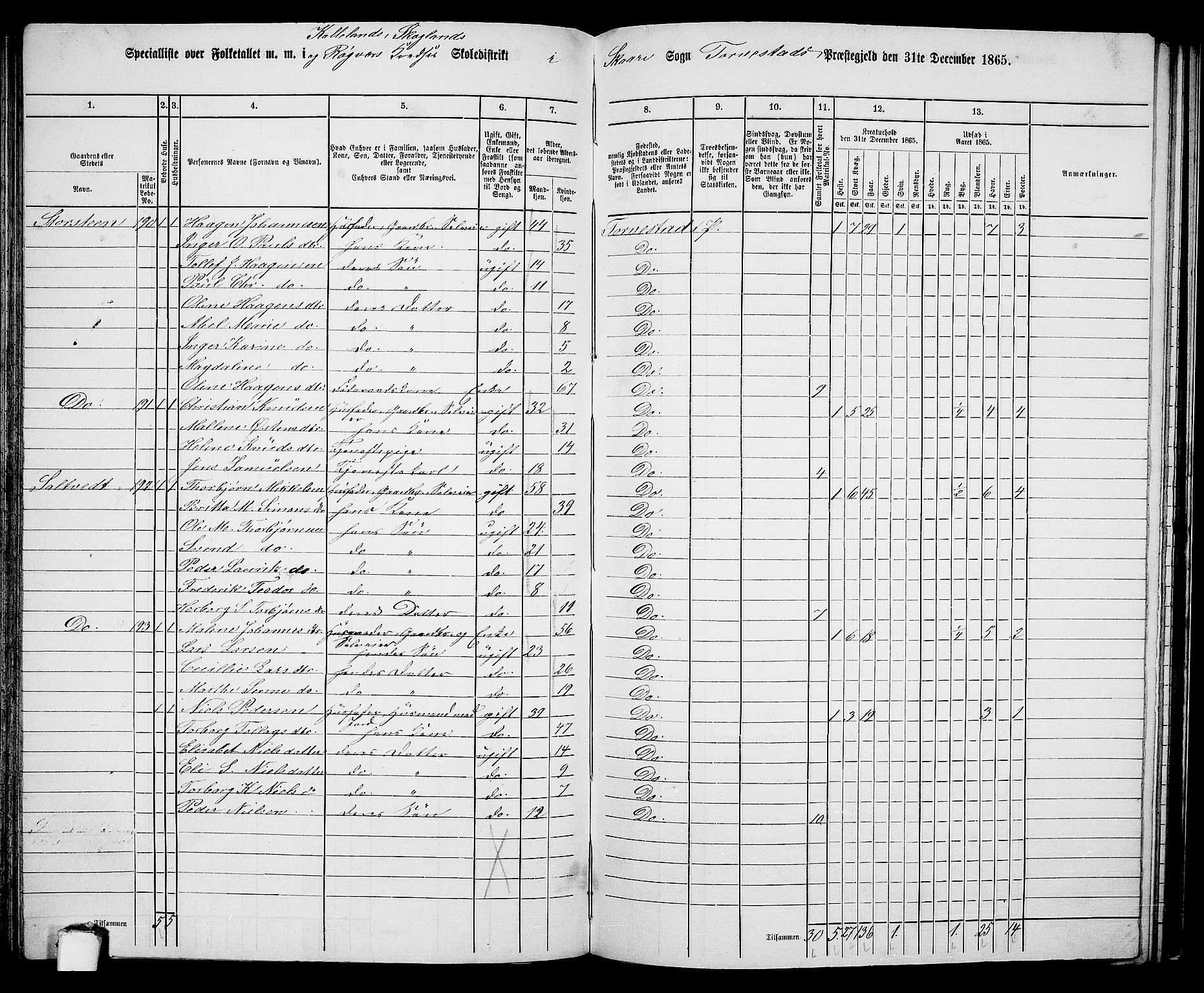 RA, 1865 census for Torvastad/Torvastad, Skåre og Utsira, 1865, p. 117