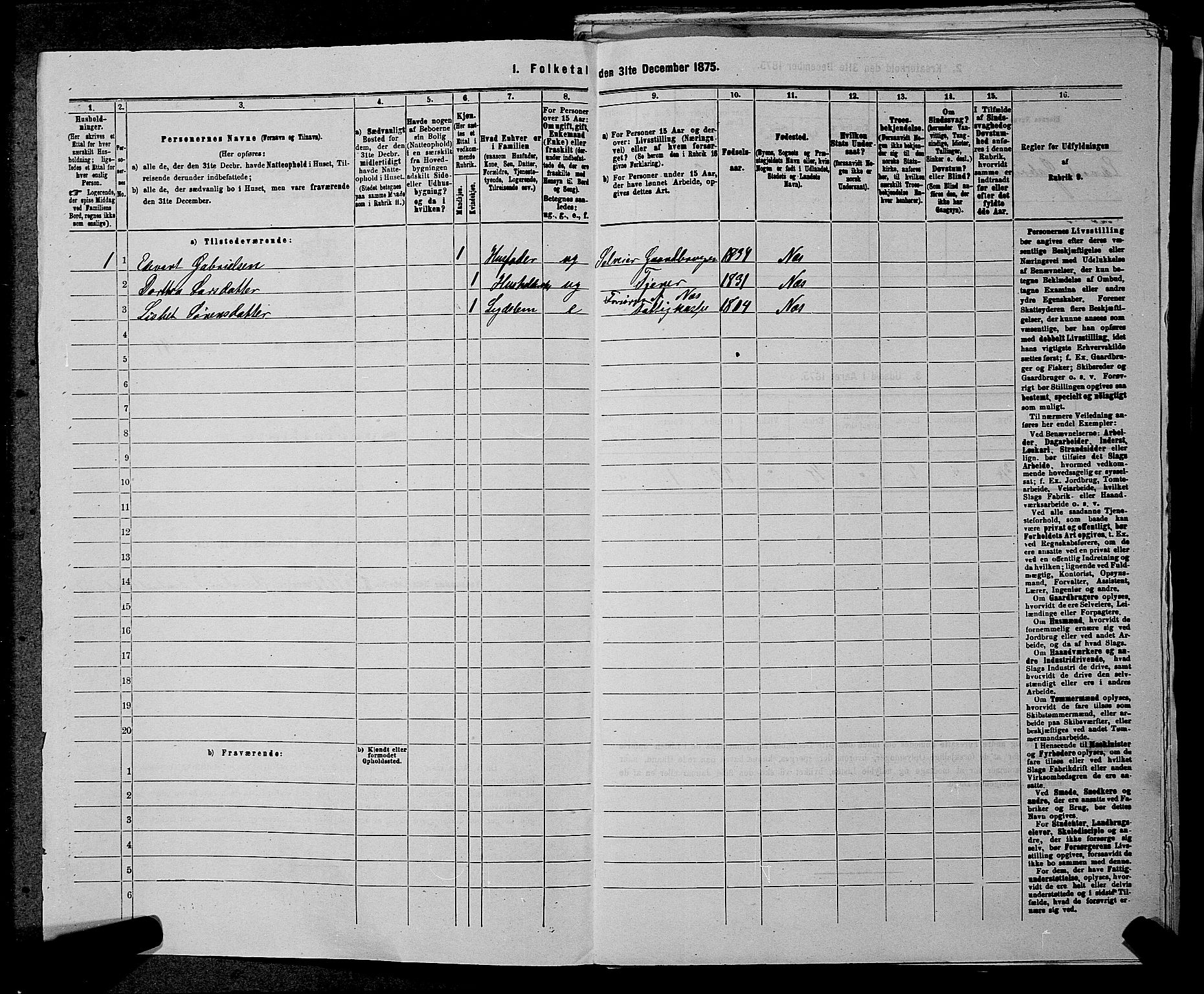 RA, 1875 census for 0236P Nes, 1875, p. 697