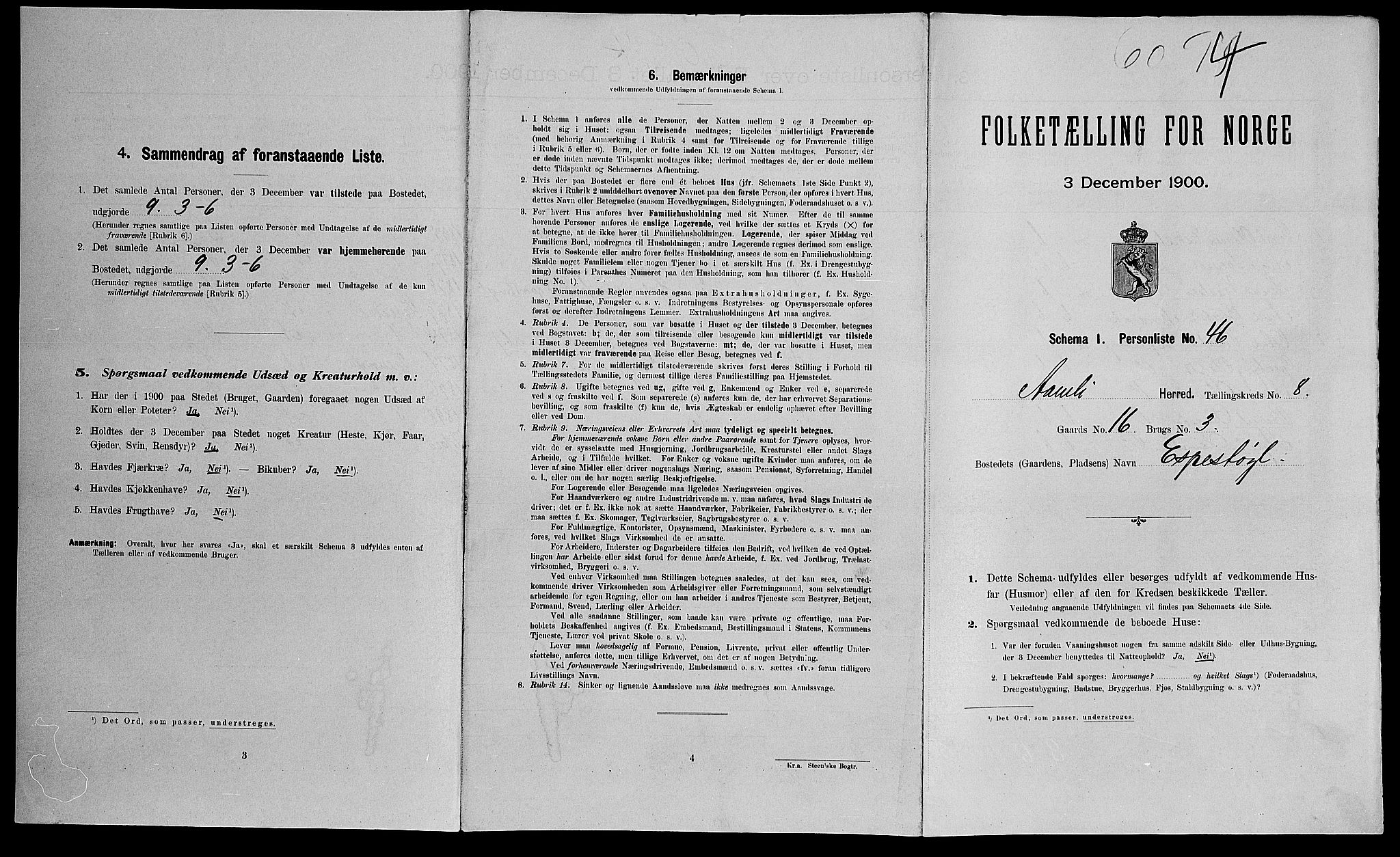 SAK, 1900 census for Åmli, 1900, p. 698