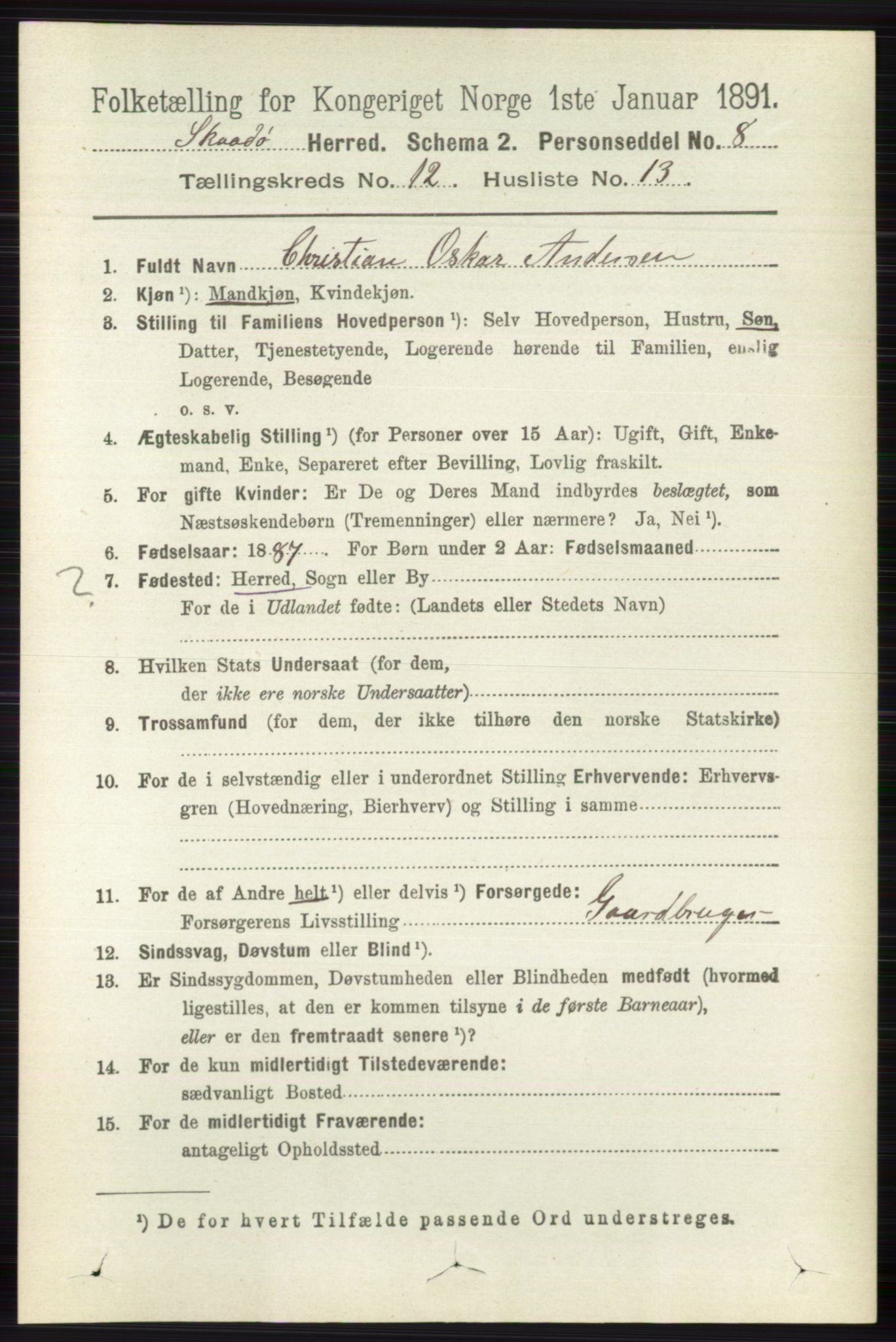 RA, 1891 census for 0815 Skåtøy, 1891, p. 4373