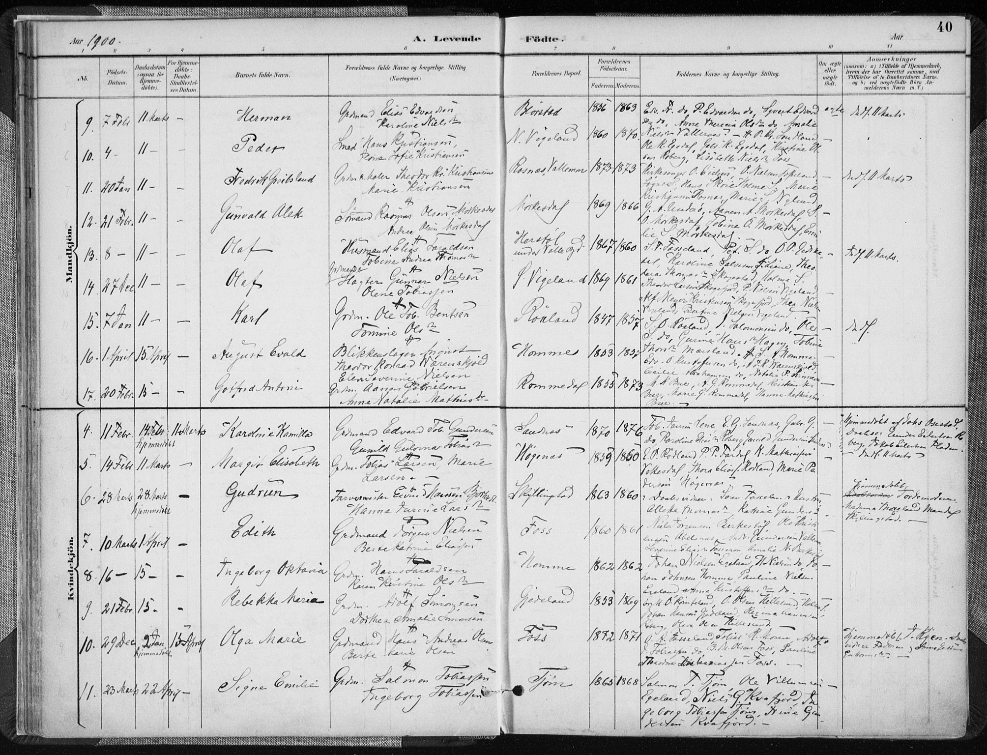 Sør-Audnedal sokneprestkontor, AV/SAK-1111-0039/F/Fa/Fab/L0010: Parish register (official) no. A 10, 1892-1913, p. 40