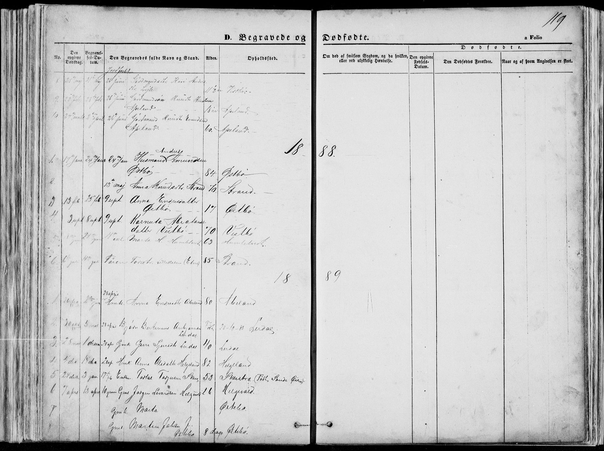 Vikedal sokneprestkontor, SAST/A-101840/01/V: Parish register (copy) no. B 10, 1864-1926, p. 119