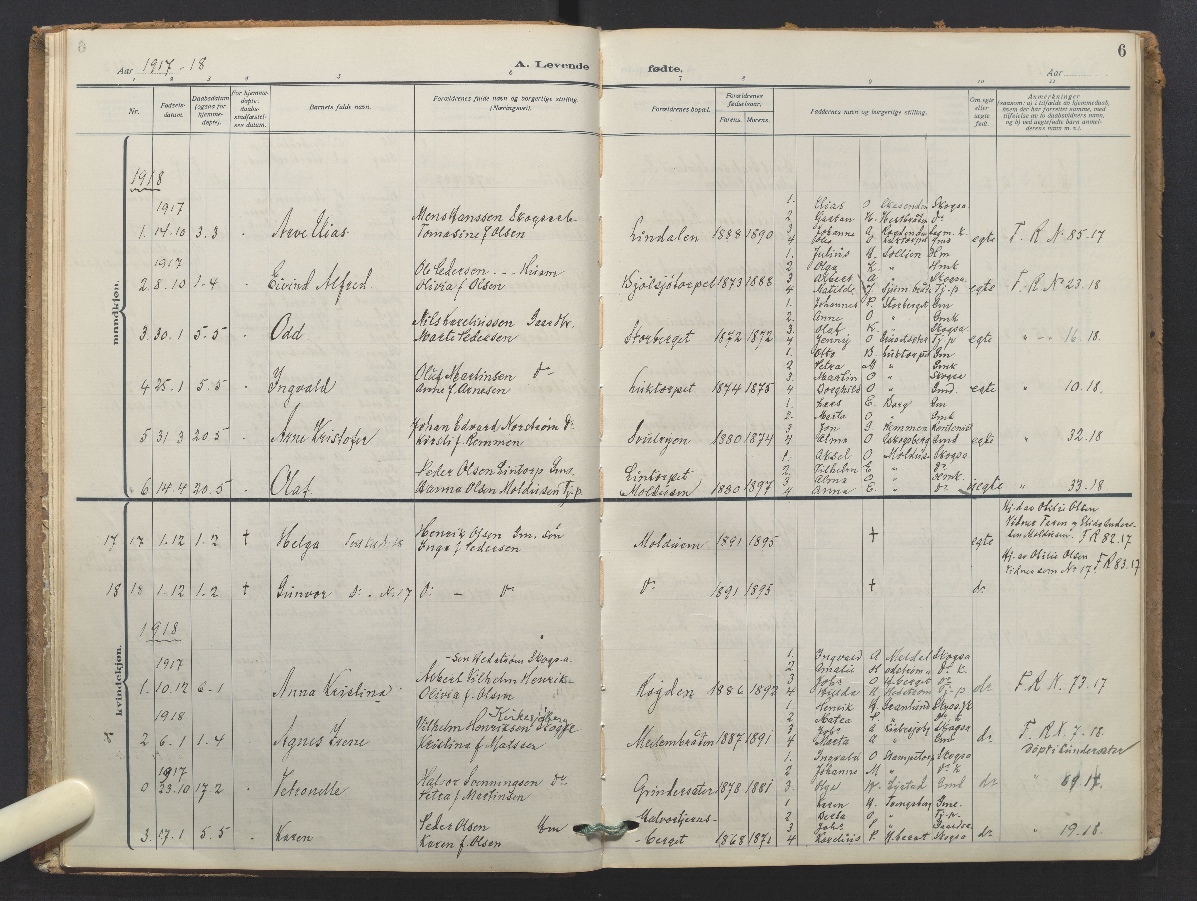 Grue prestekontor, AV/SAH-PREST-036/H/Ha/Haa/L0016: Parish register (official) no. 16, 1916-1947, p. 6