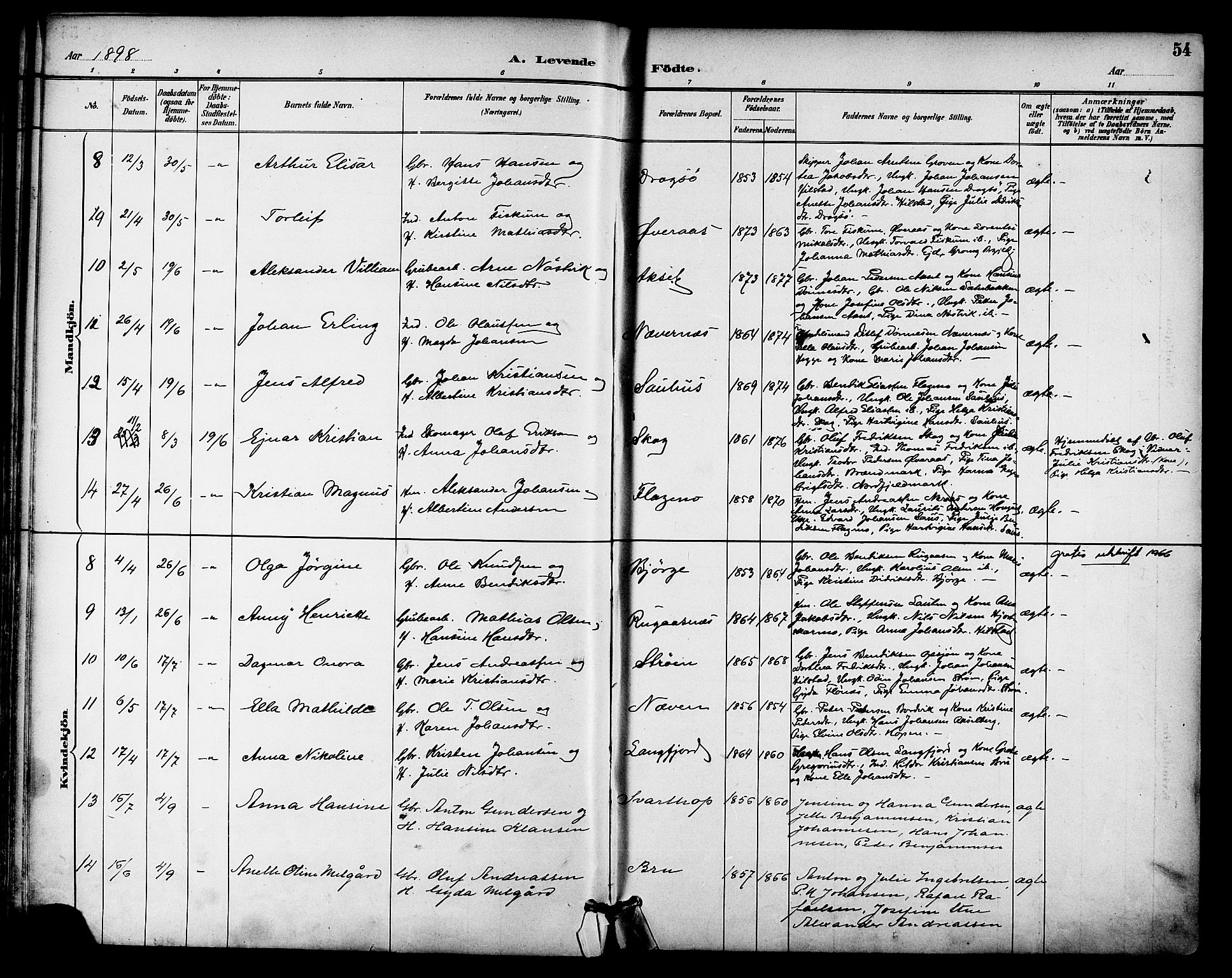 Ministerialprotokoller, klokkerbøker og fødselsregistre - Nordland, SAT/A-1459/814/L0226: Parish register (official) no. 814A07, 1886-1898, p. 54